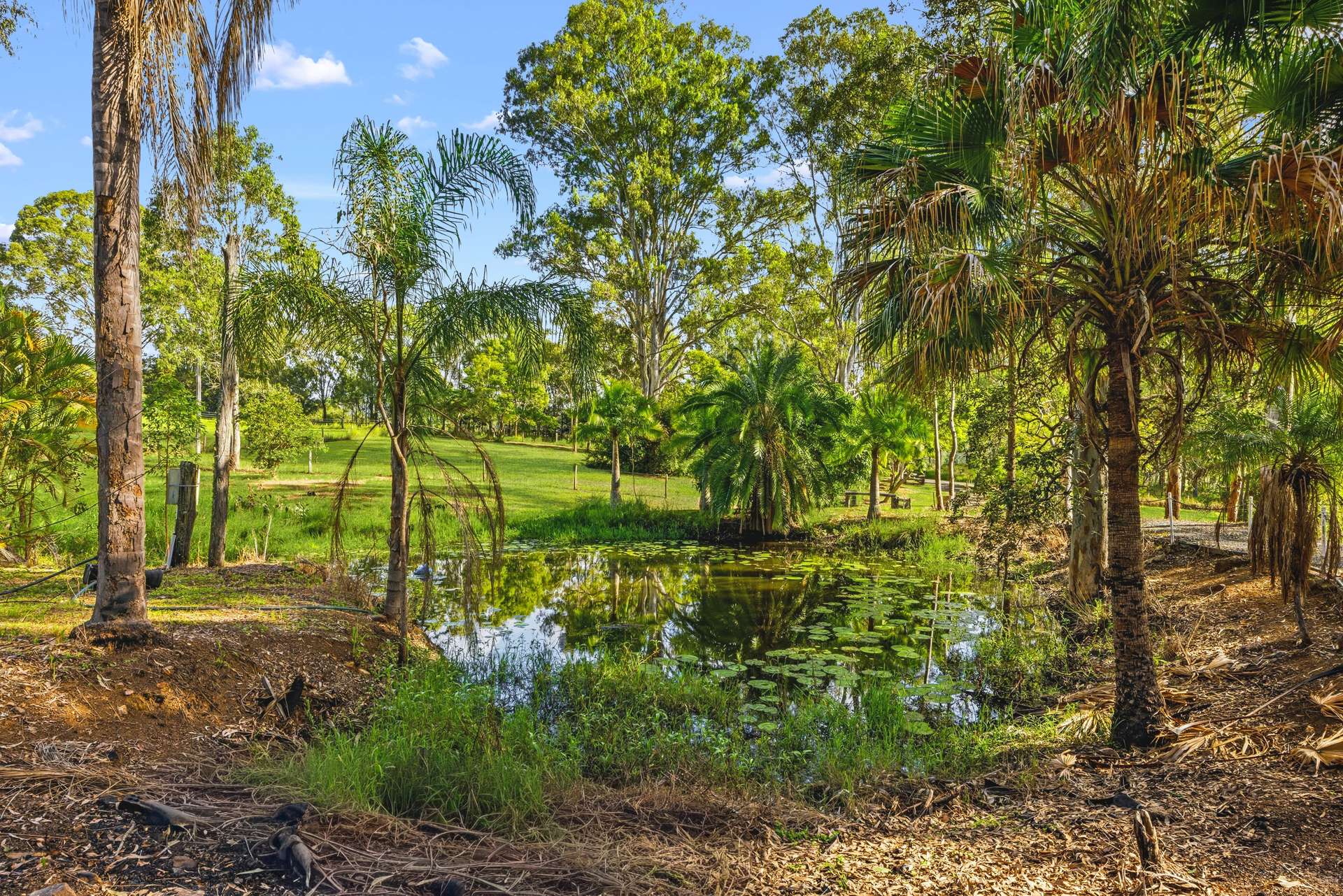 21 Blackgate Road, Amamoor For Sale by Farmbuy.com - image 19