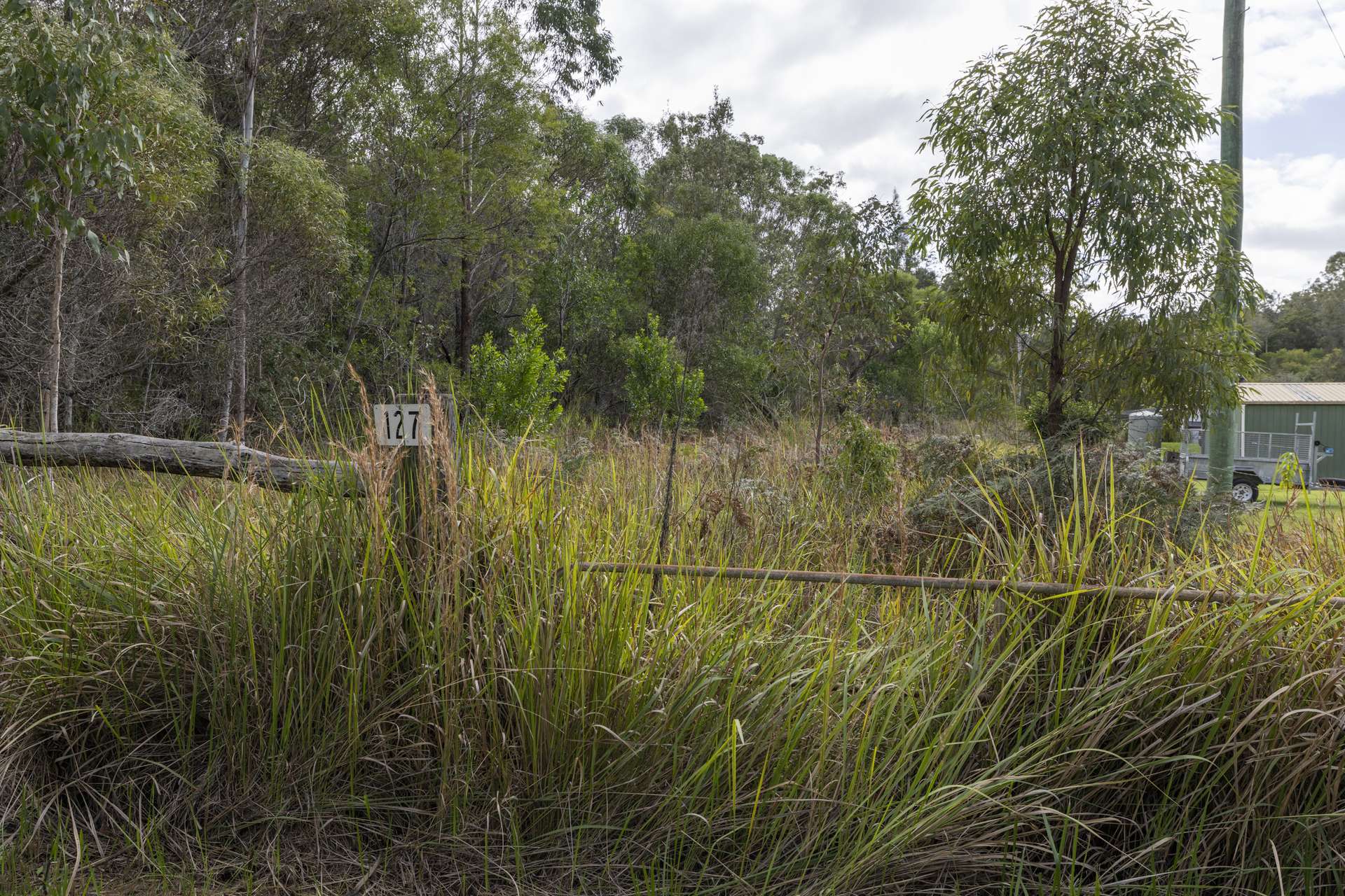 127 Firth Heinz Road, Pillar Valley For Sale by Farmbuy.com - image 4