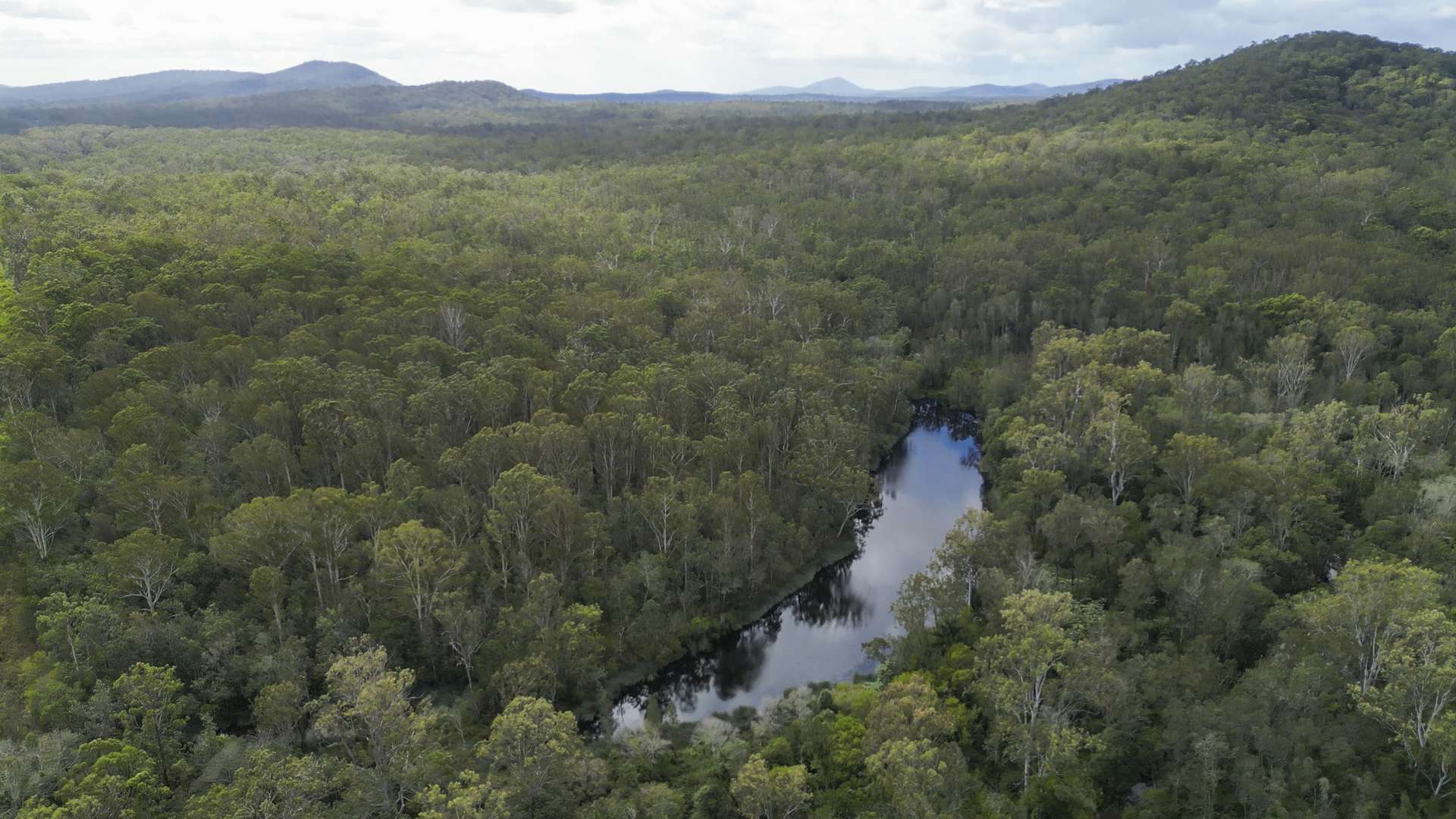 127 Firth Heinz Road, Pillar Valley For Sale by Farmbuy.com - image 1