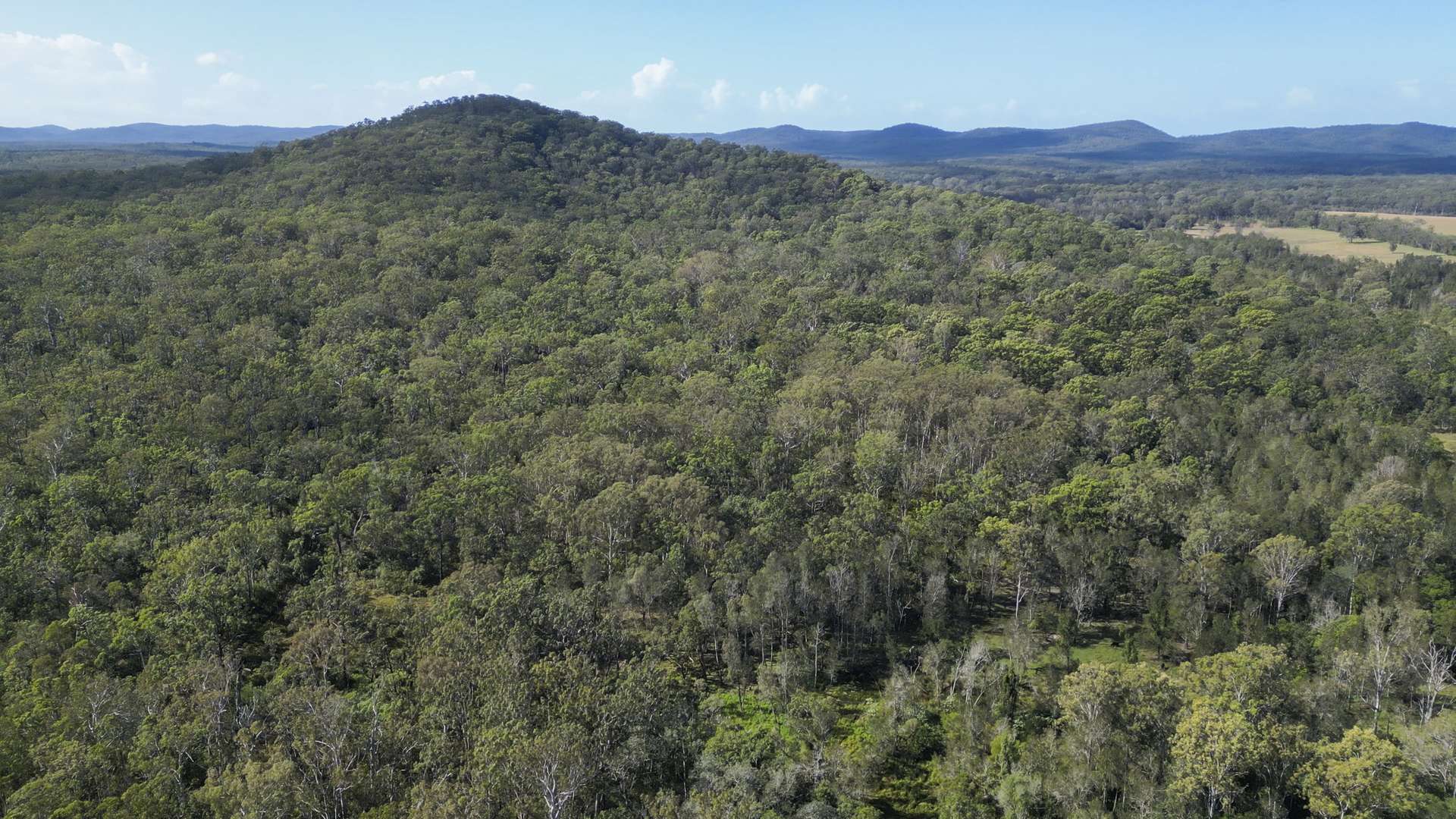 127 Firth Heinz Road, Pillar Valley For Sale by Farmbuy.com - image 10