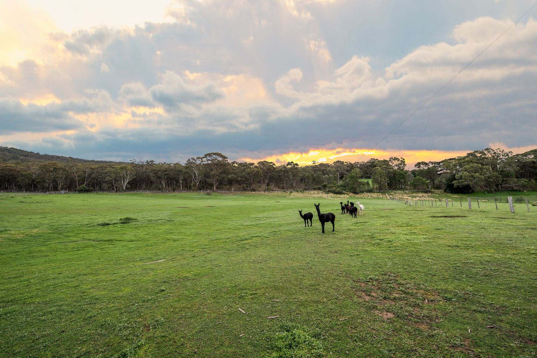 Lot 86/403 Mandurang South Road, Mandurang South For Sale by Farmbuy.com - image 6