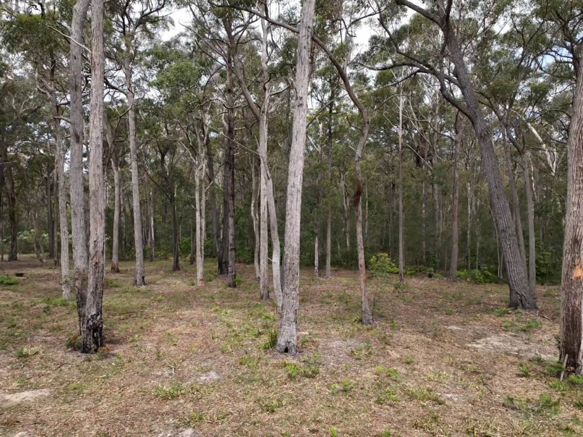 30 Apple Berry Lane, Kalaru For Sale by Farmbuy.com - image 8