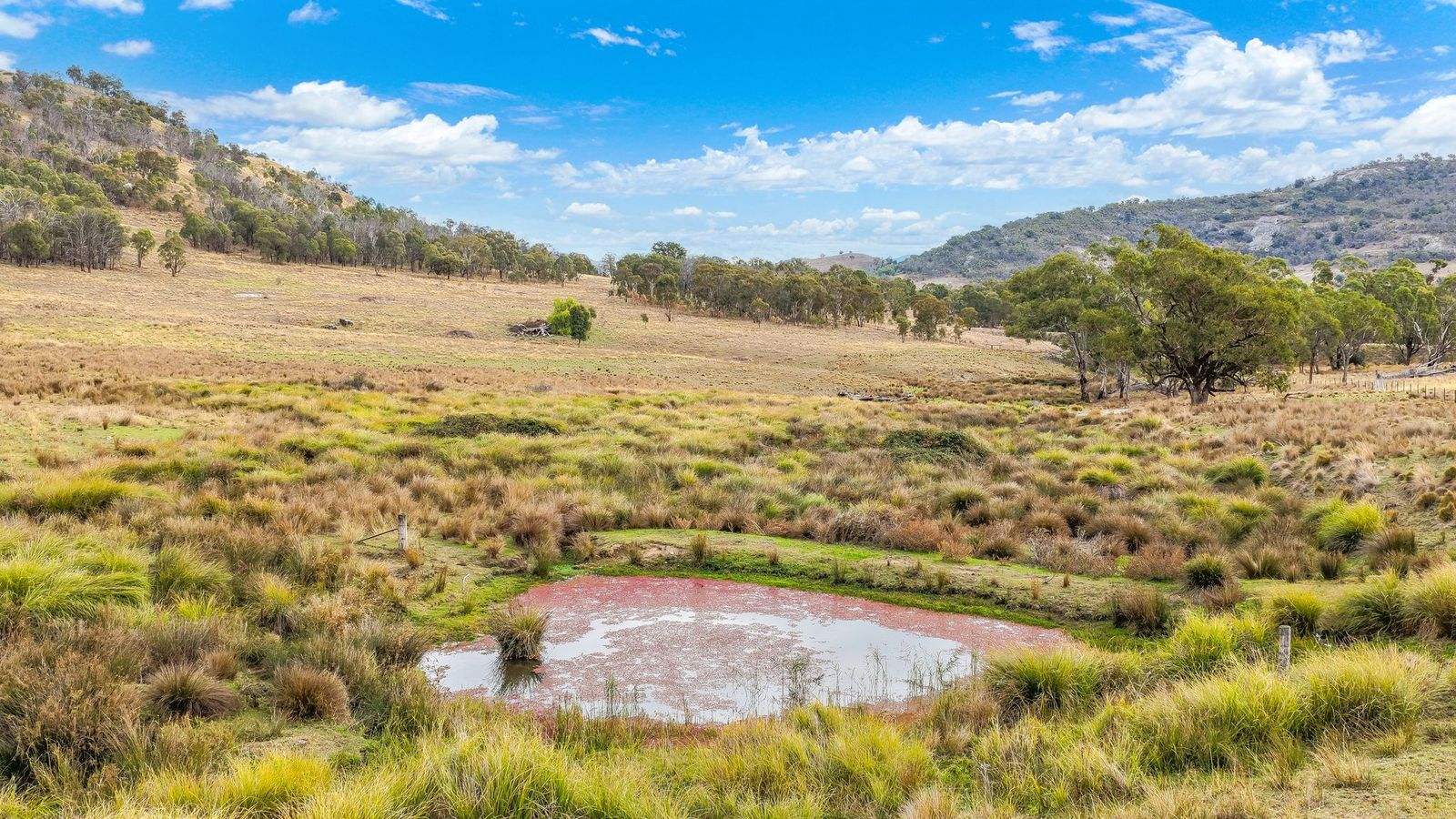 2337 Danglemah Road, Woolbrook Auction by Farmbuy.com - image 15