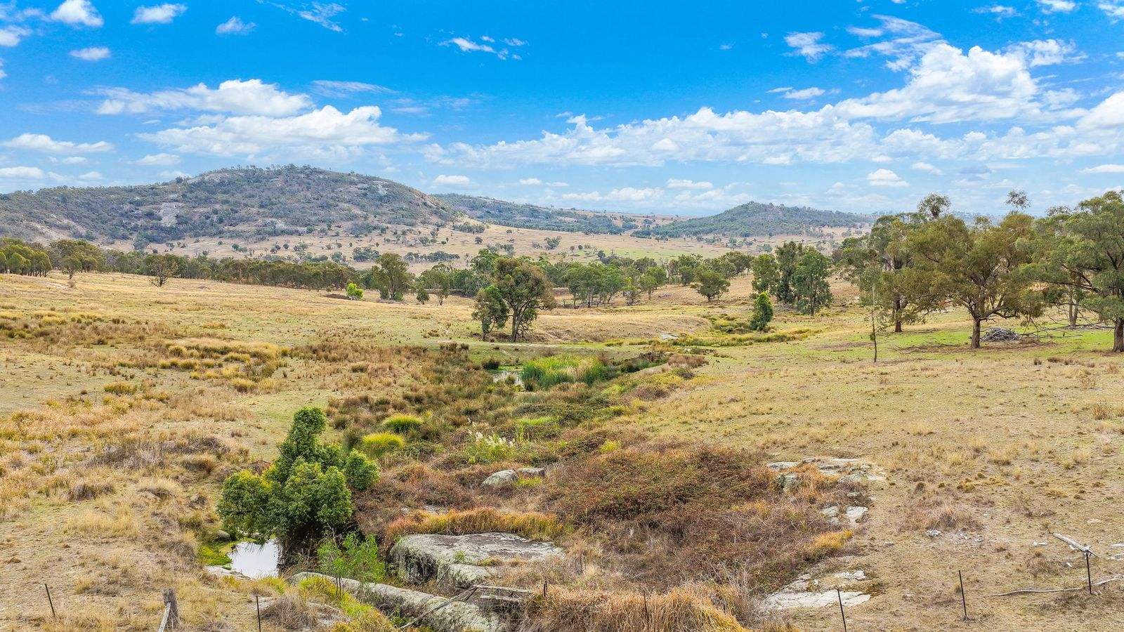 2337 Danglemah Road, Woolbrook Auction by Farmbuy.com - image 17