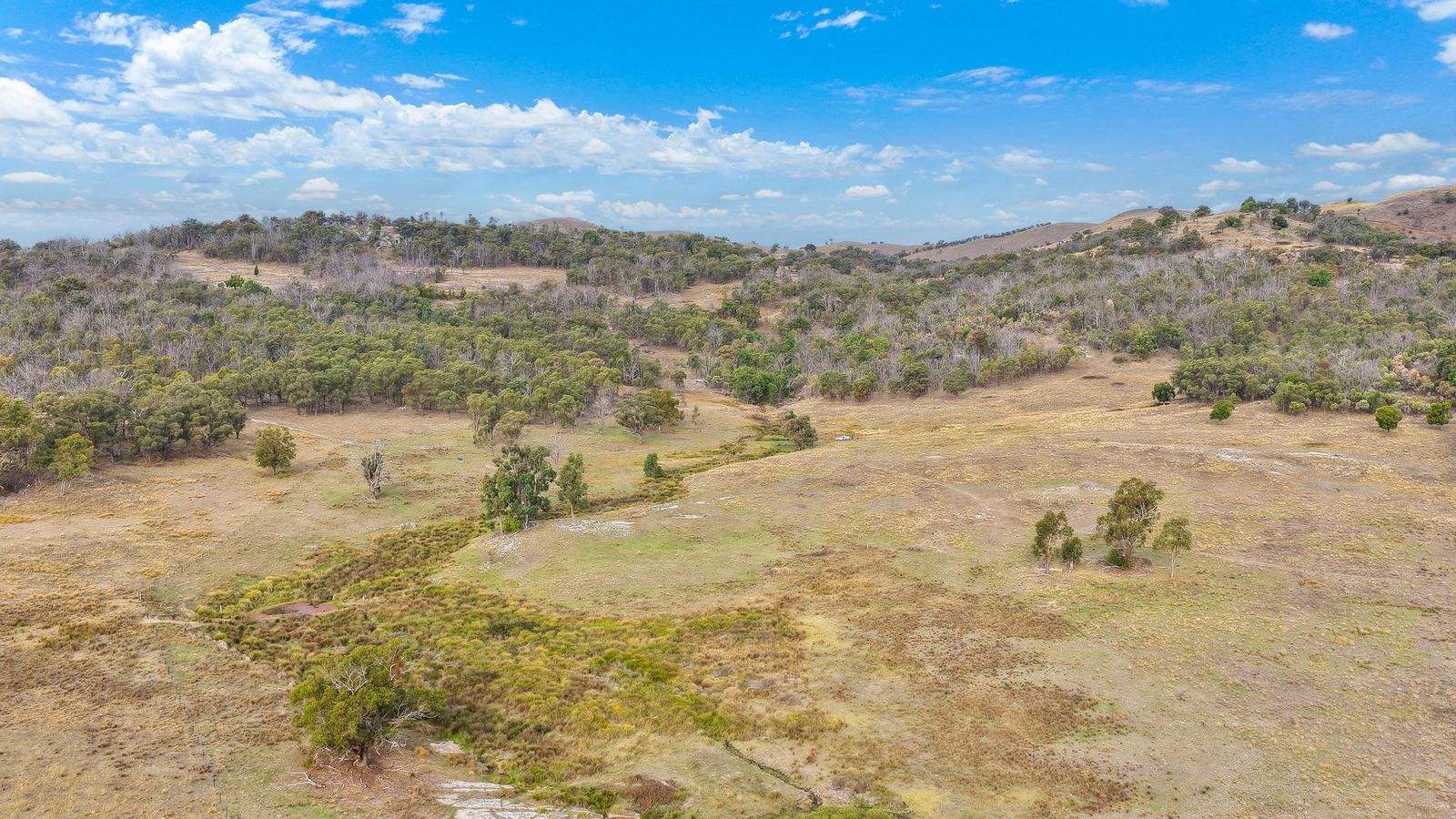 2337 Danglemah Road, Woolbrook For Sale by Farmbuy.com - image 23