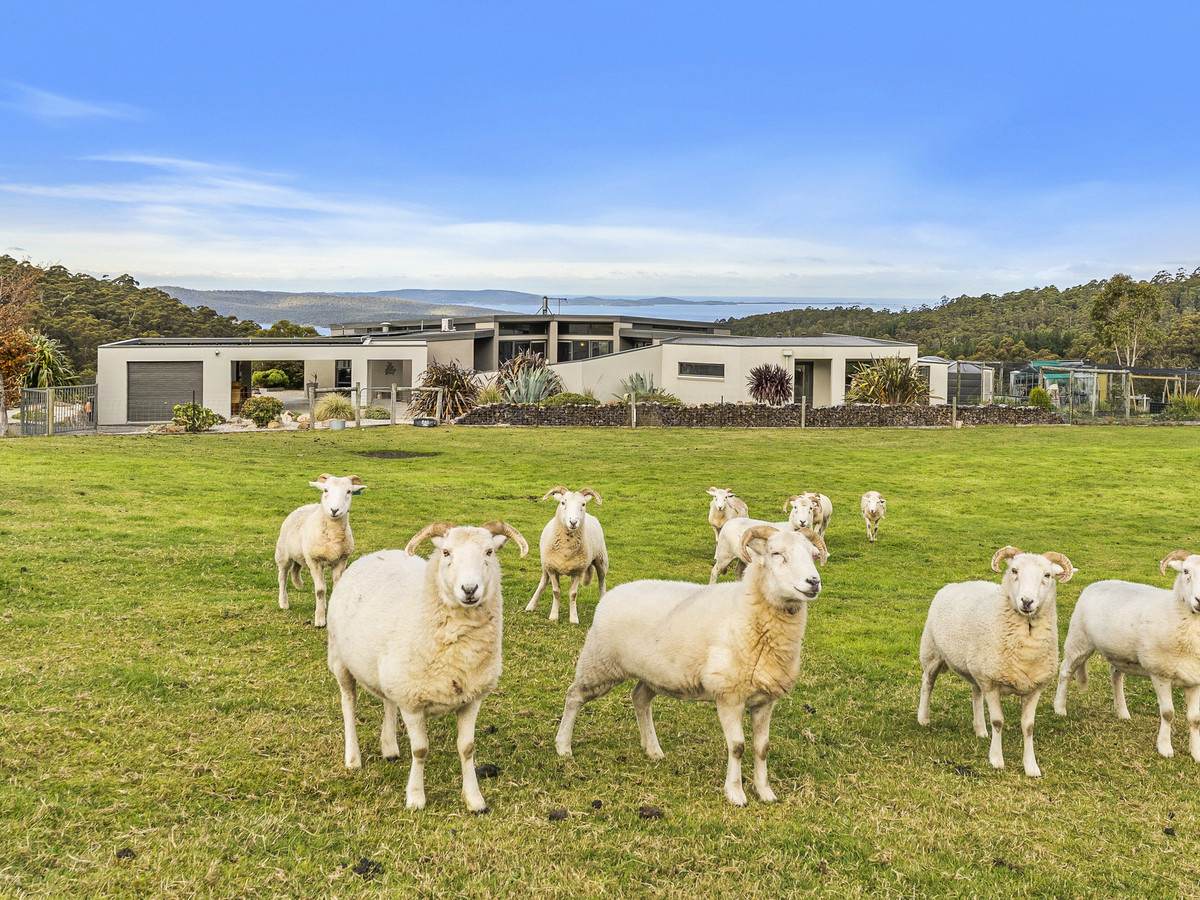 384 Saddle Road, Kettering For Sale by Farmbuy.com - image 2