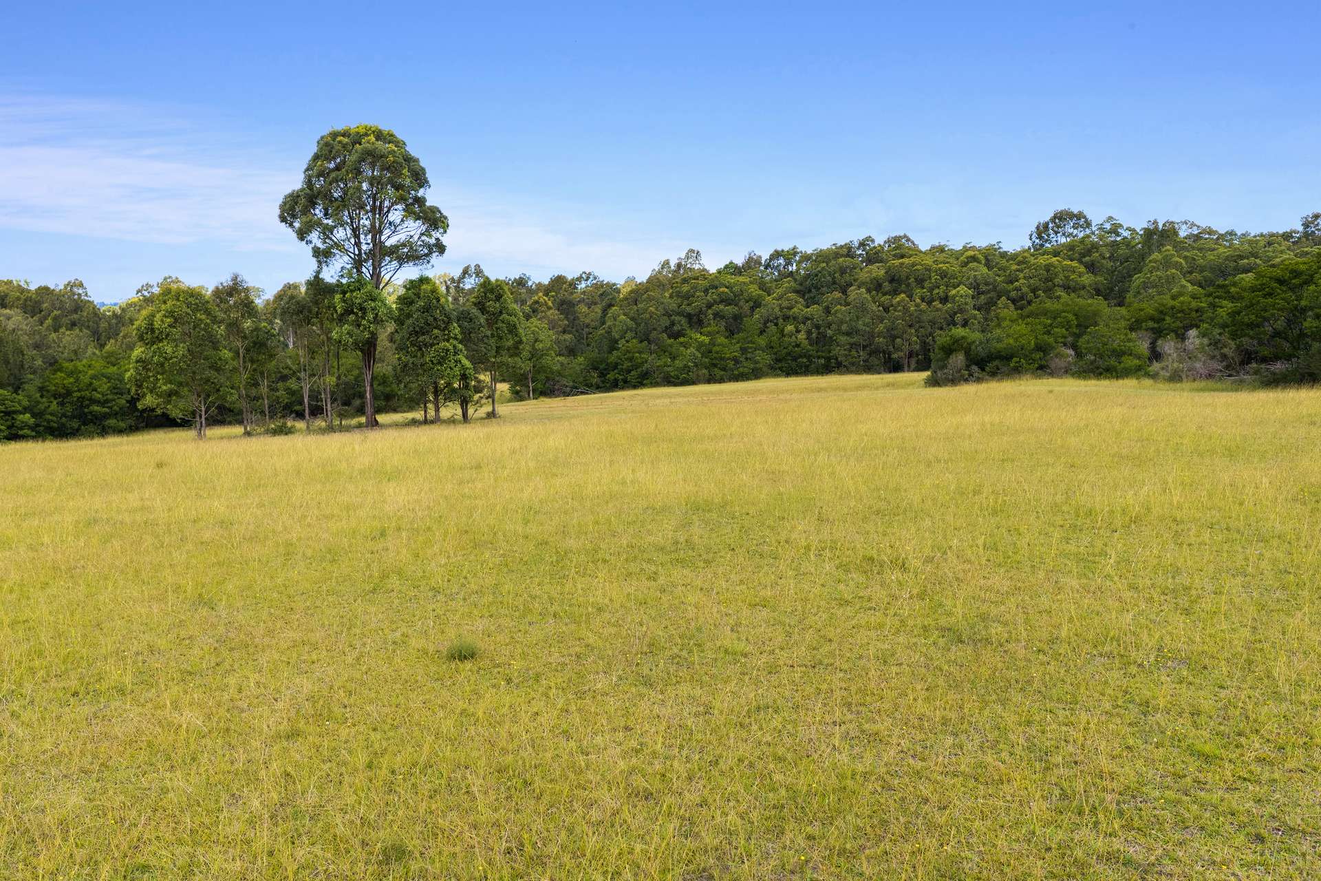 240 Cabbage Tree Lane, Mundamia For Sale by Farmbuy.com - image 7