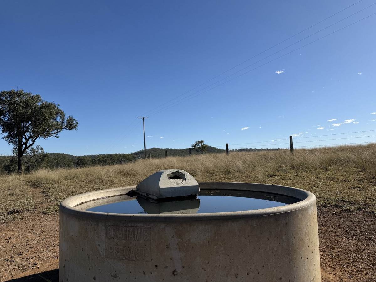 148 Voss Road, Monto For Sale by Farmbuy.com - image 18