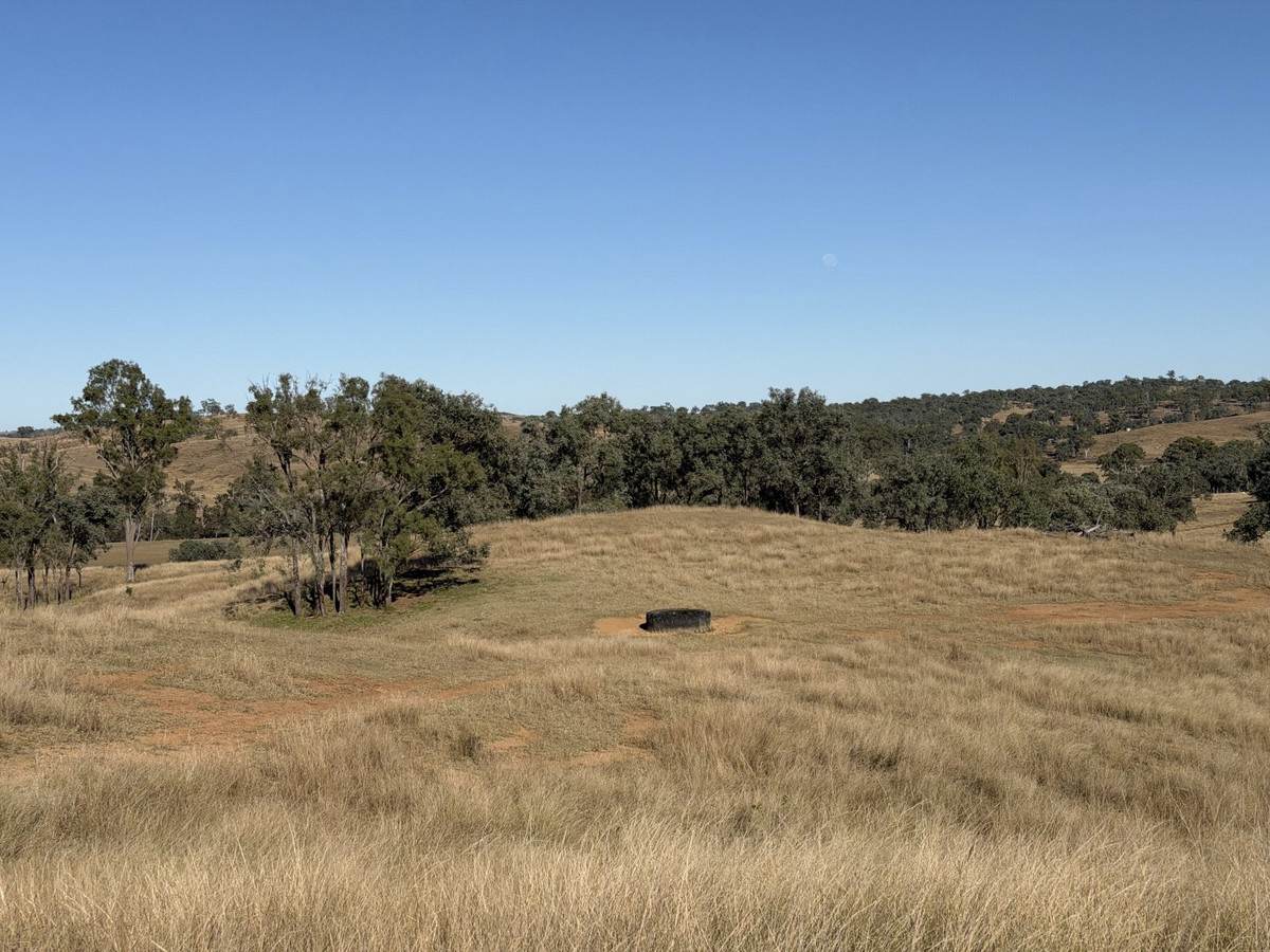 148 Voss Road, Monto For Sale by Farmbuy.com - image 17