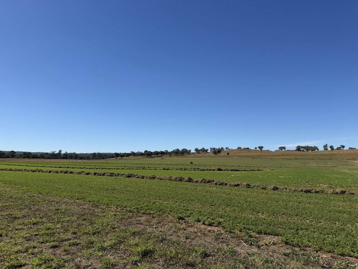 148 Voss Road, Monto For Sale by Farmbuy.com - image 10