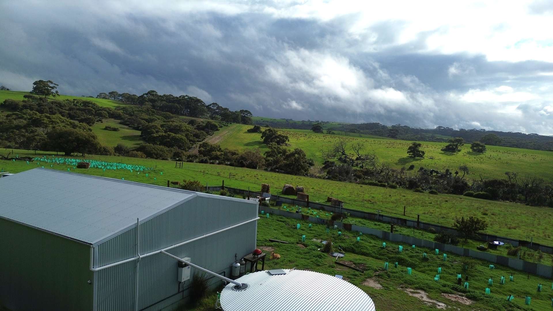 Lot 51 Bark Hut Road, Cassini For Sale by Farmbuy.com - image 2