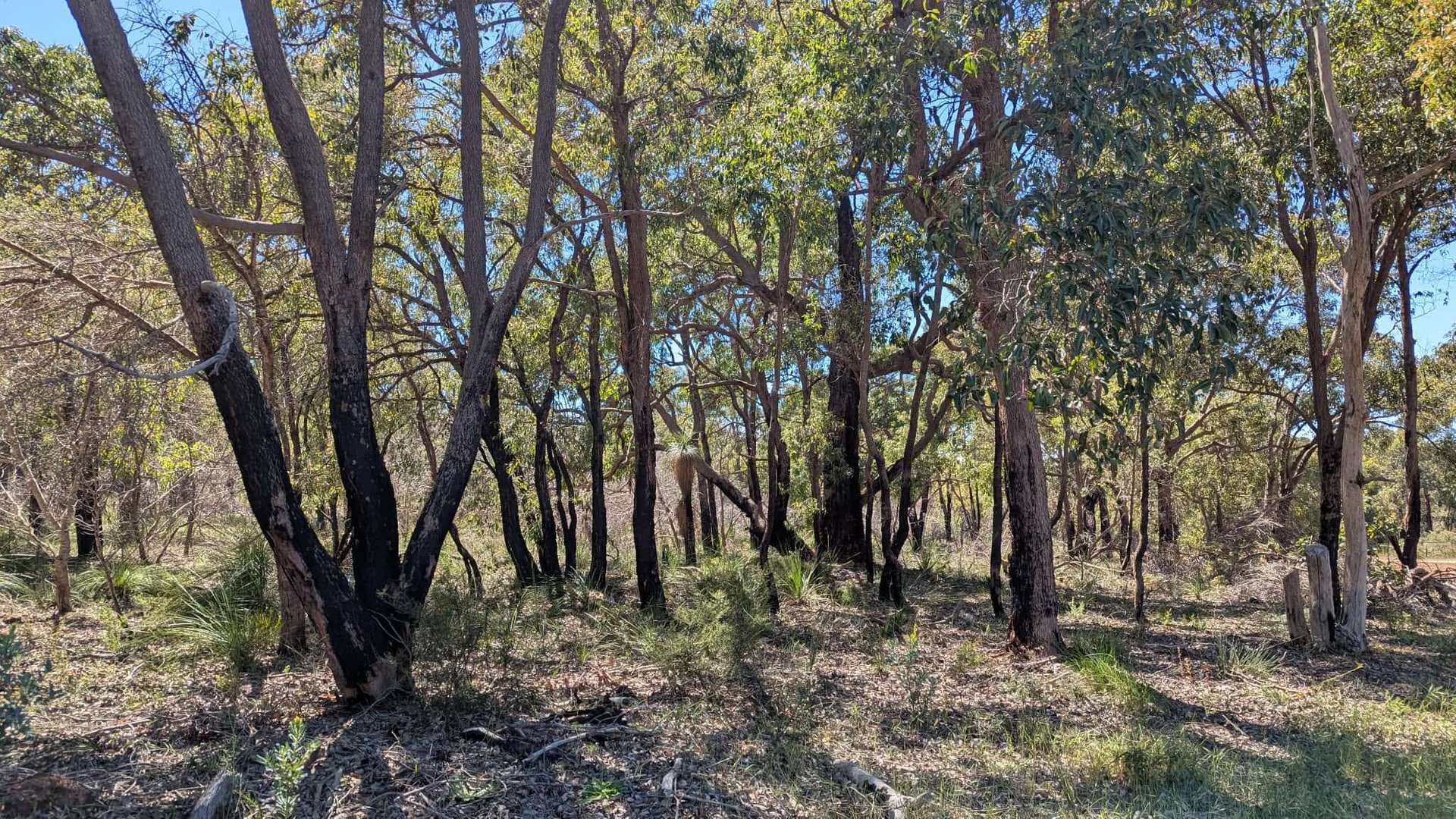 Lot 10 Jenkins Road, Bullsbrook For Sale by Farmbuy.com - image 14
