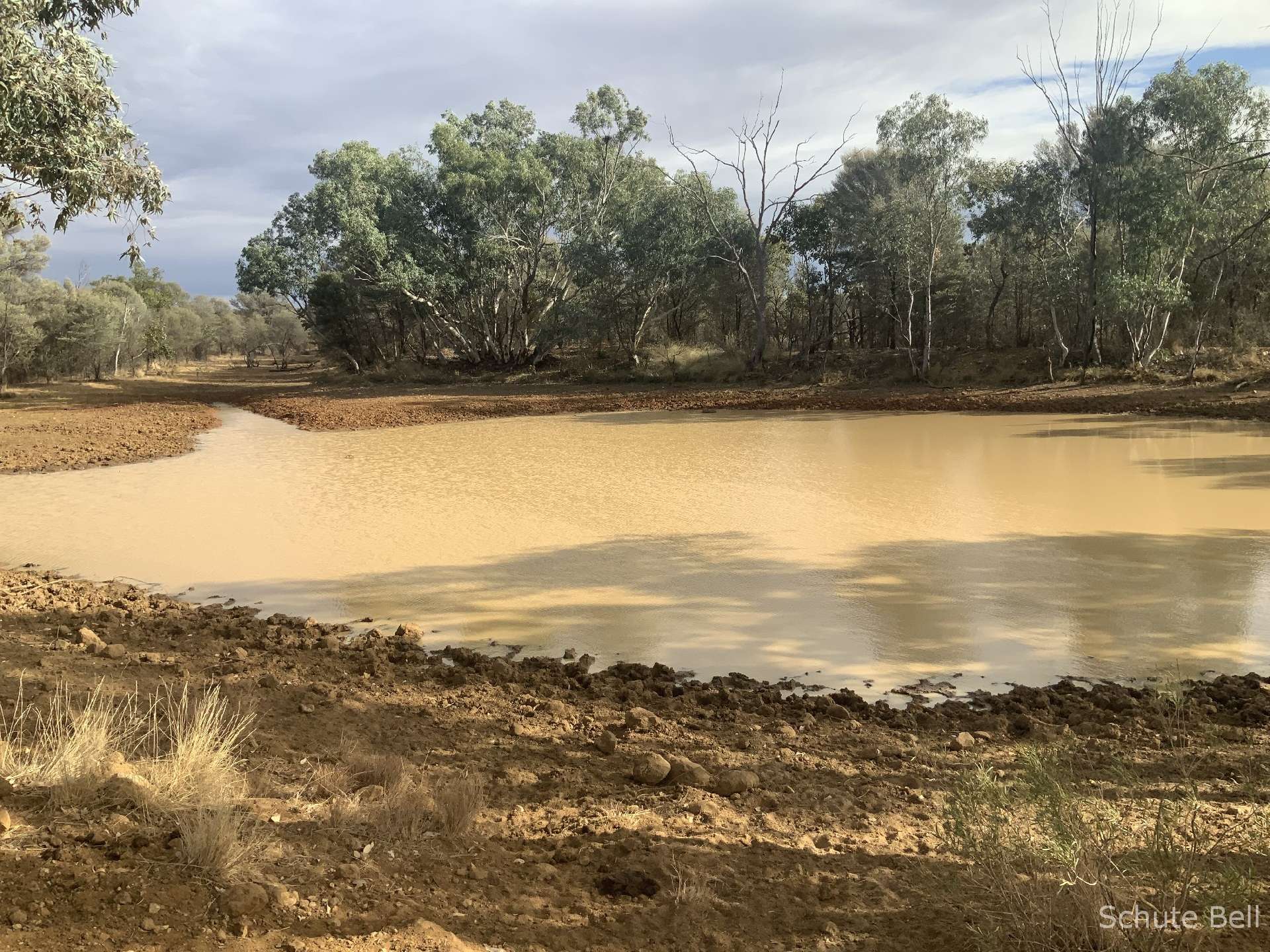 4728 Old Quilpie Rd, Cooladdi Auction by Farmbuy.com - image 14