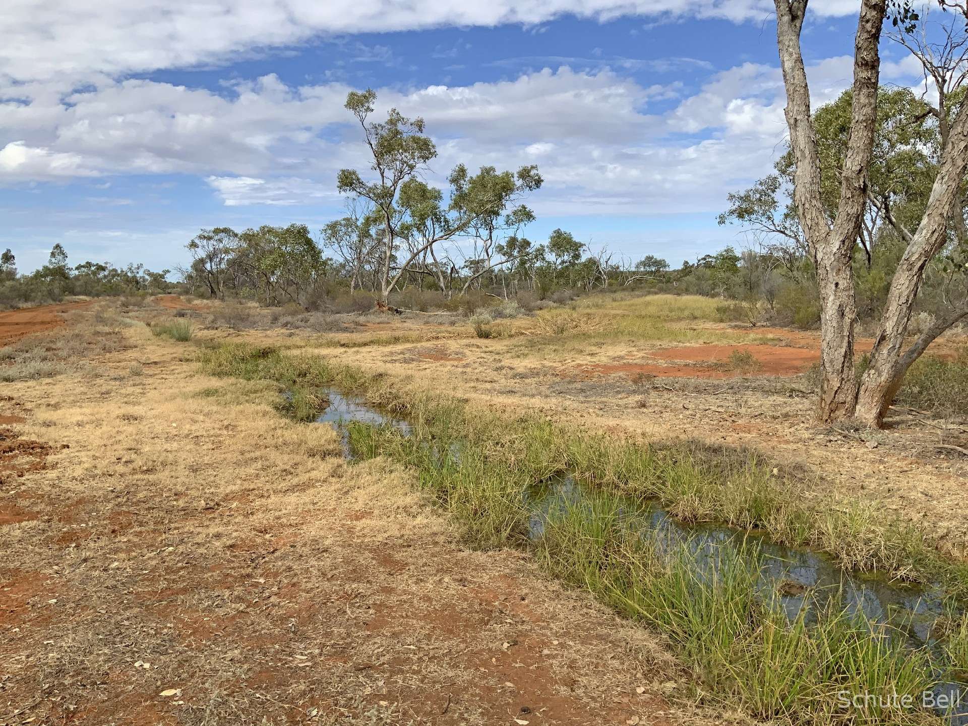4728 Old Quilpie Rd, Cooladdi Auction by Farmbuy.com - image 27