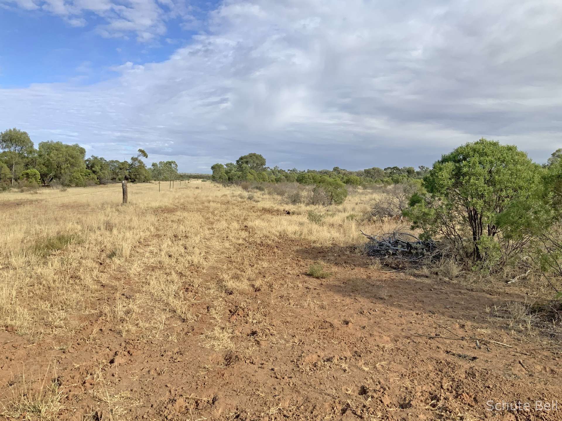 4728 Old Quilpie Rd, Cooladdi Auction by Farmbuy.com - image 18
