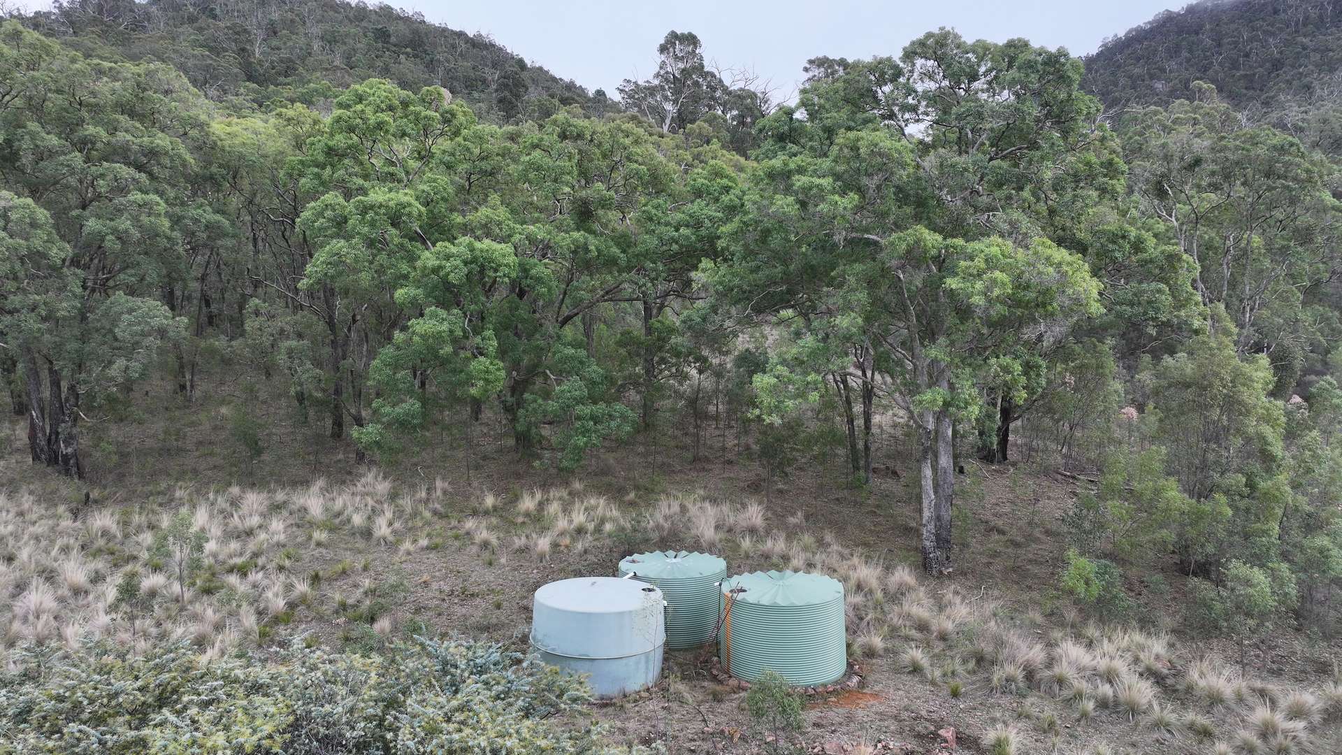 2210 Timor Road, Coonabarabran For Sale by Farmbuy.com - image 17