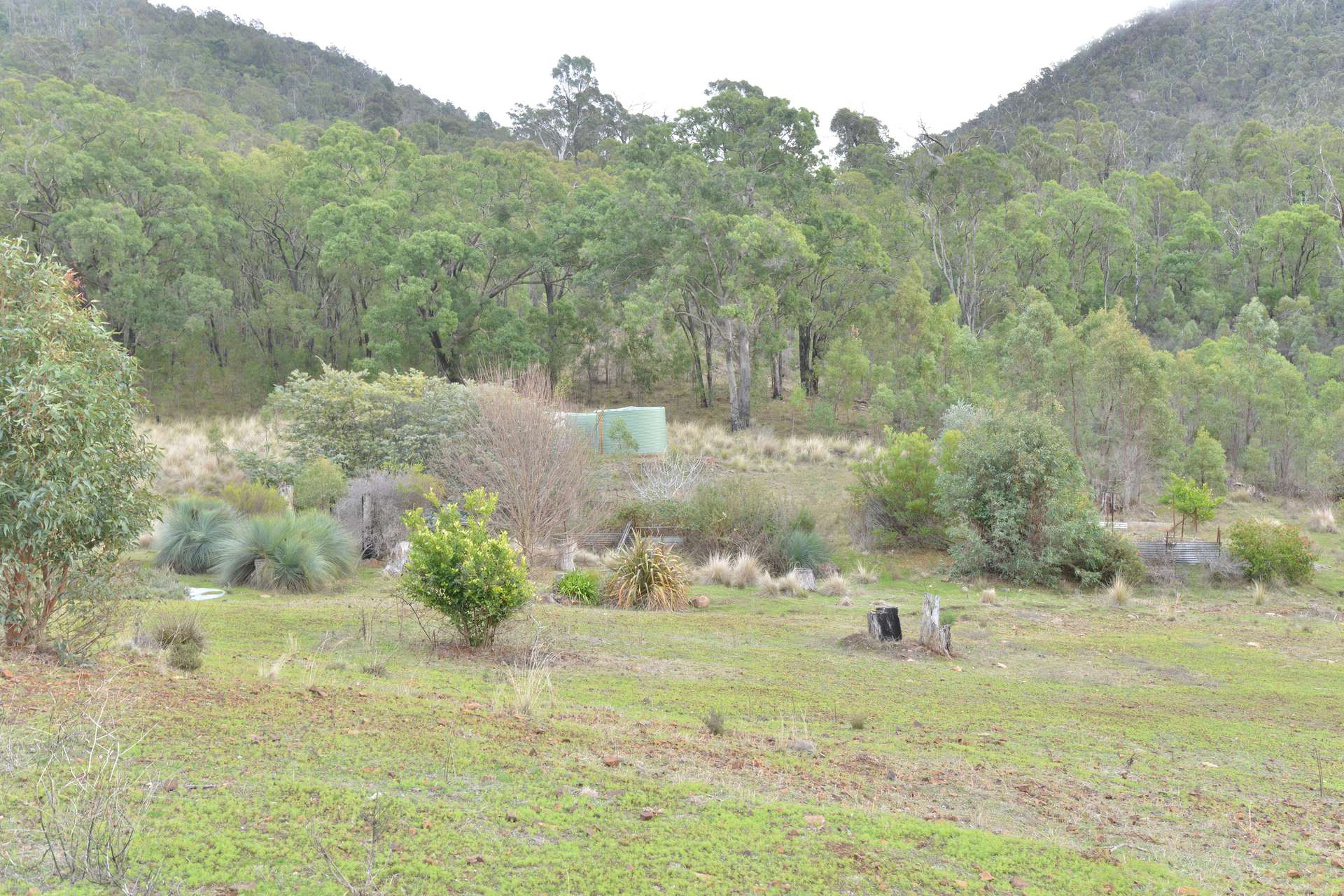 2210 Timor Road, Coonabarabran For Sale by Farmbuy.com - image 20