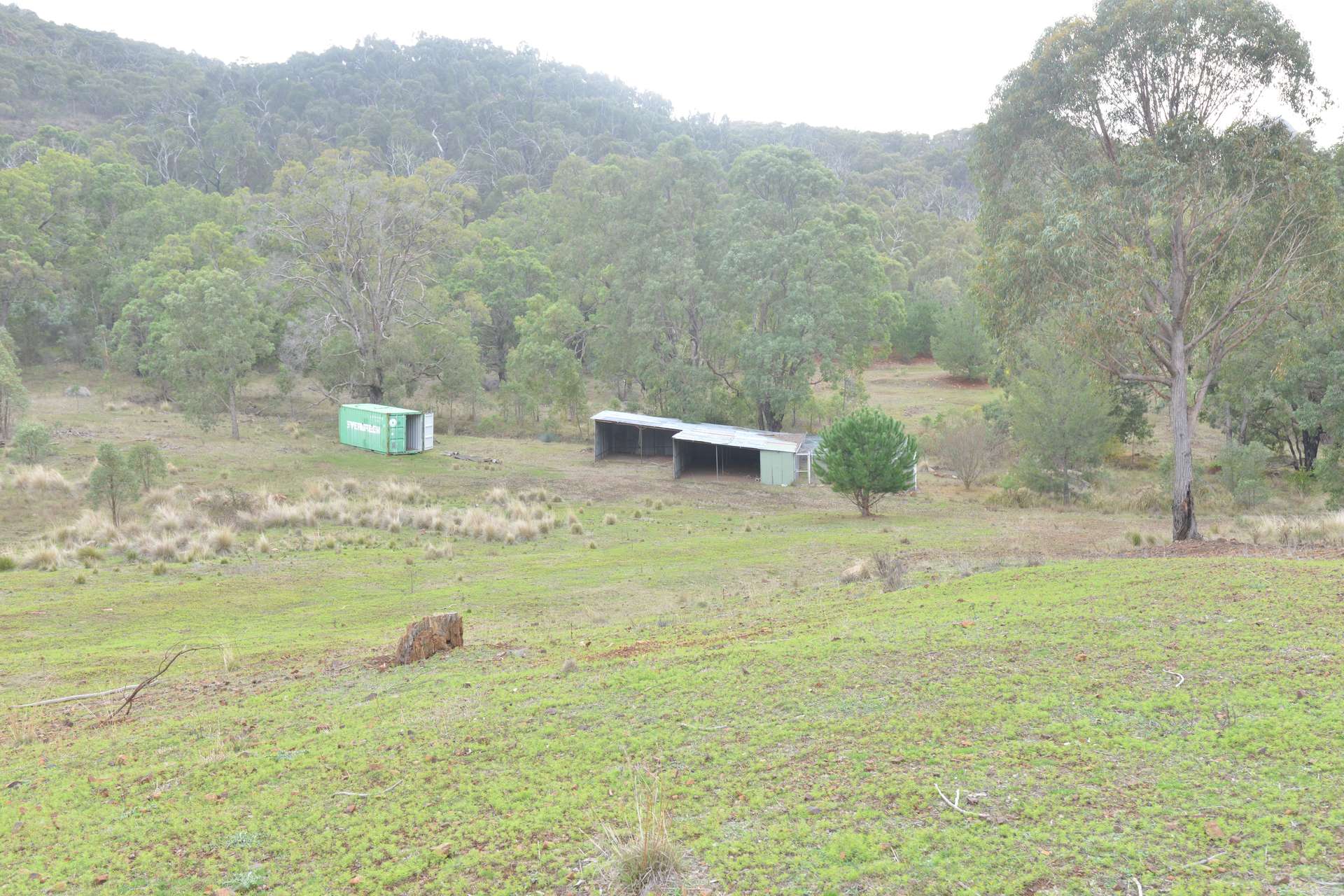 2210 Timor Road, Coonabarabran For Sale by Farmbuy.com - image 3