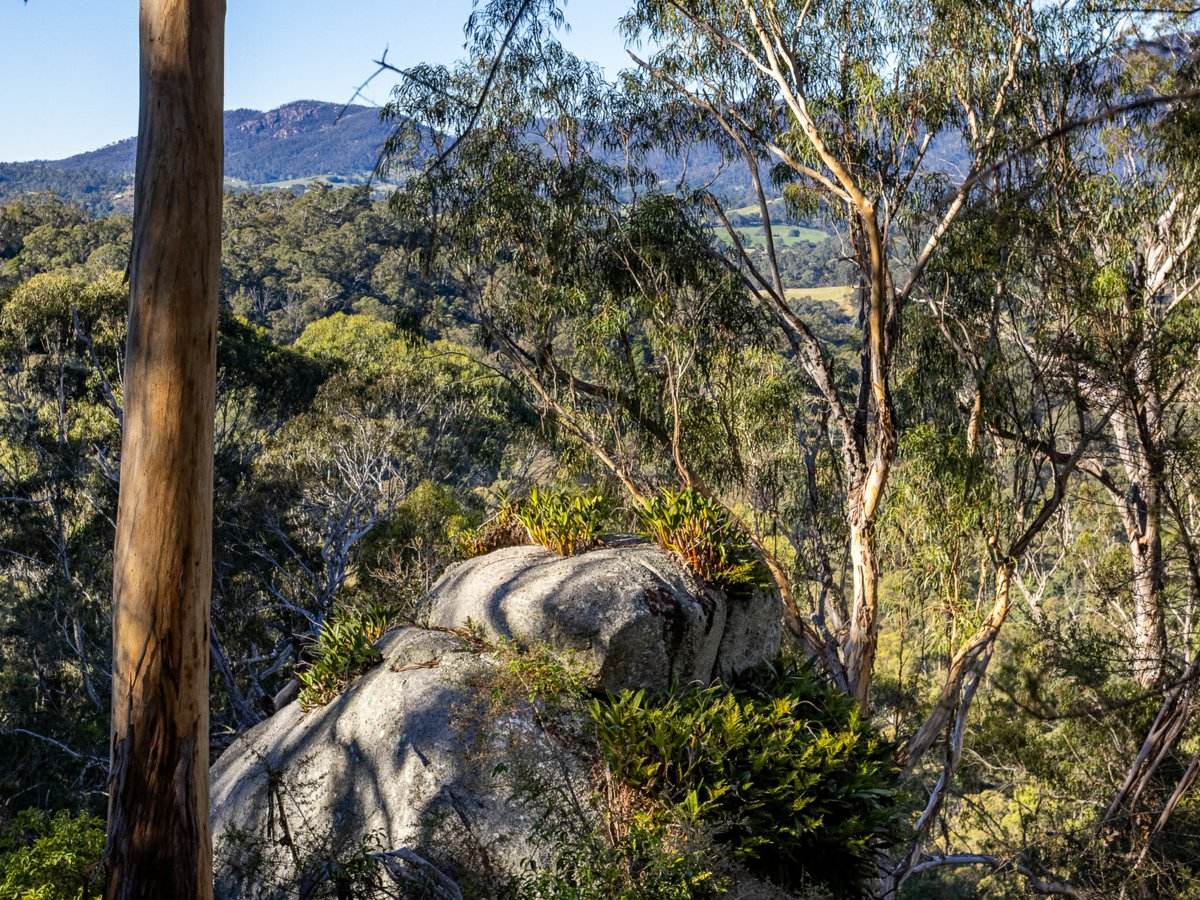 142 Eagles Nest Road, Brogo For Sale by Farmbuy.com - image 18
