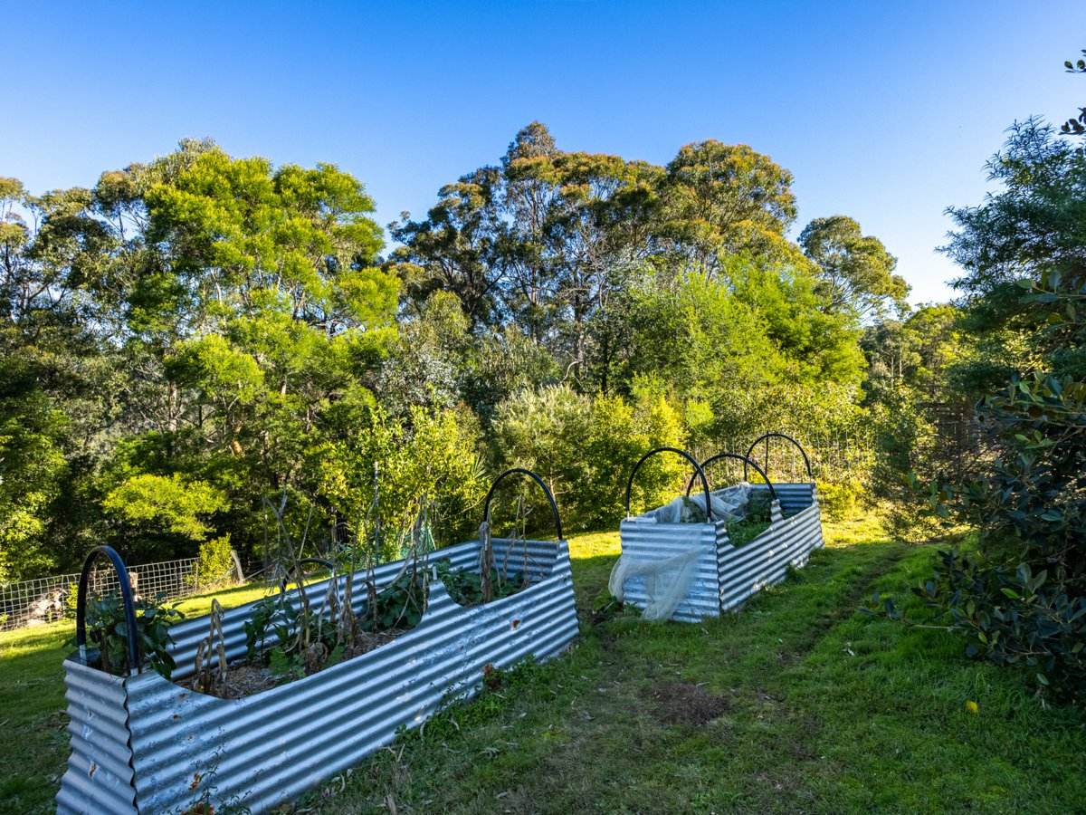 142 Eagles Nest Road, Brogo For Sale by Farmbuy.com - image 17