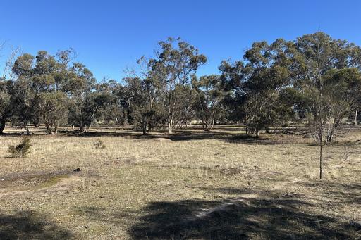 Farm For Sale - WA - Tambellup - 6320 - Acreage Opportunity - Natural Beauty and Space 