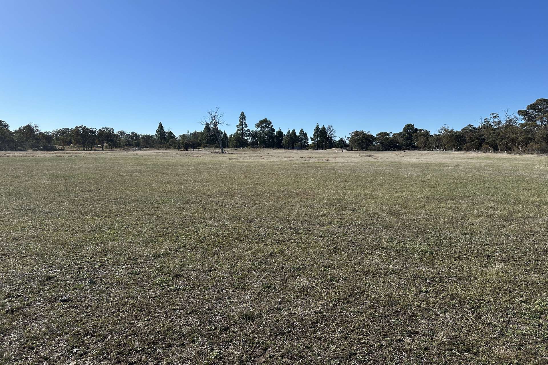 Lovegrove Street, Tambellup For Sale by Farmbuy.com - image 1