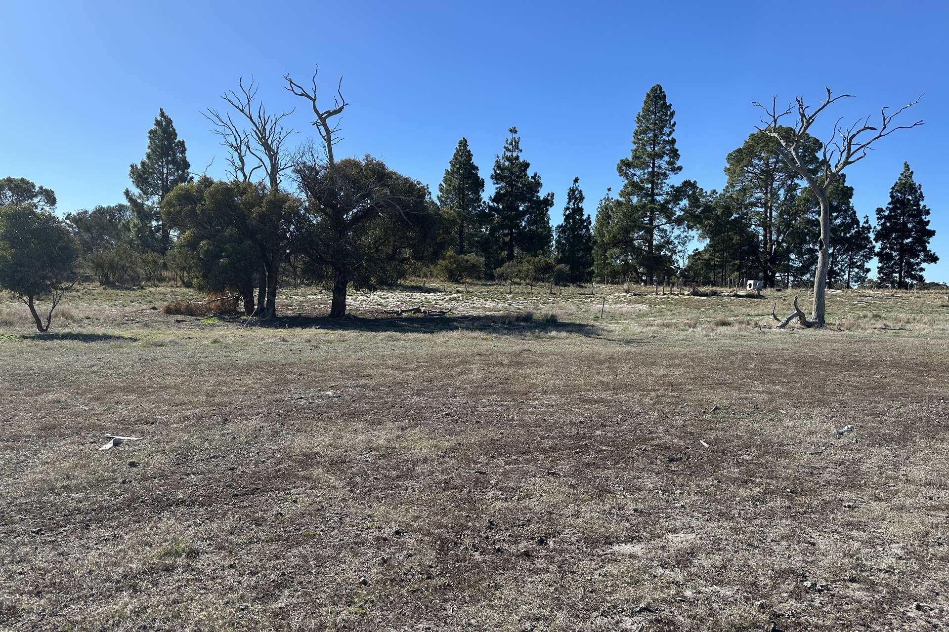 Lovegrove Street, Tambellup For Sale by Farmbuy.com - image 3