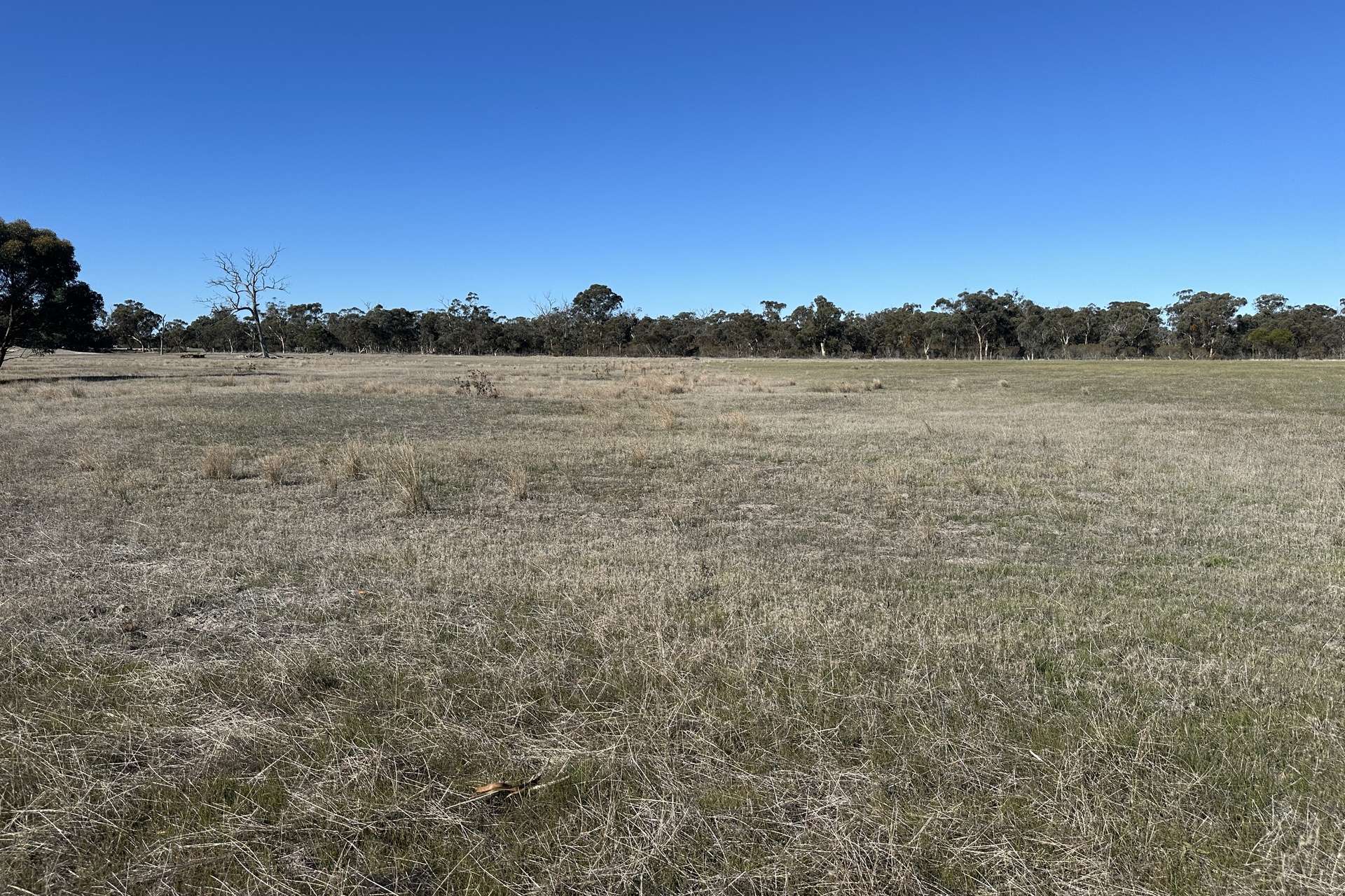 Lovegrove Street, Tambellup For Sale by Farmbuy.com - image 4