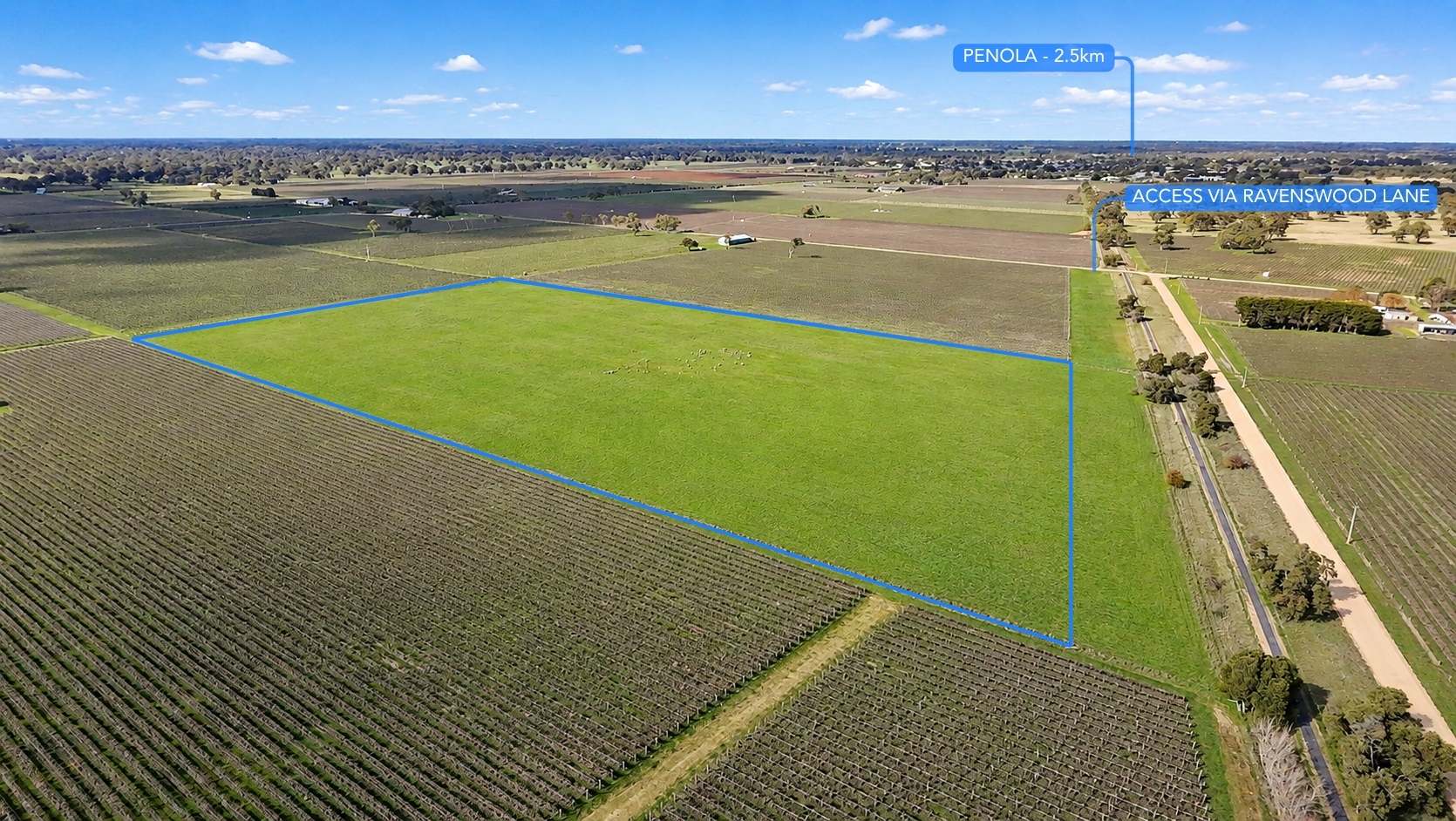 Lot 495 Ravenswood Lane, Penola For Sale by Farmbuy.com - image 1