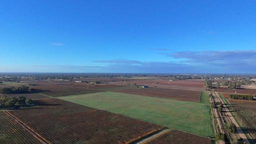 Farm For Sale - SA - Penola - 5277 - Rare Lifestyle Opportunity Just Minutes From Penola 