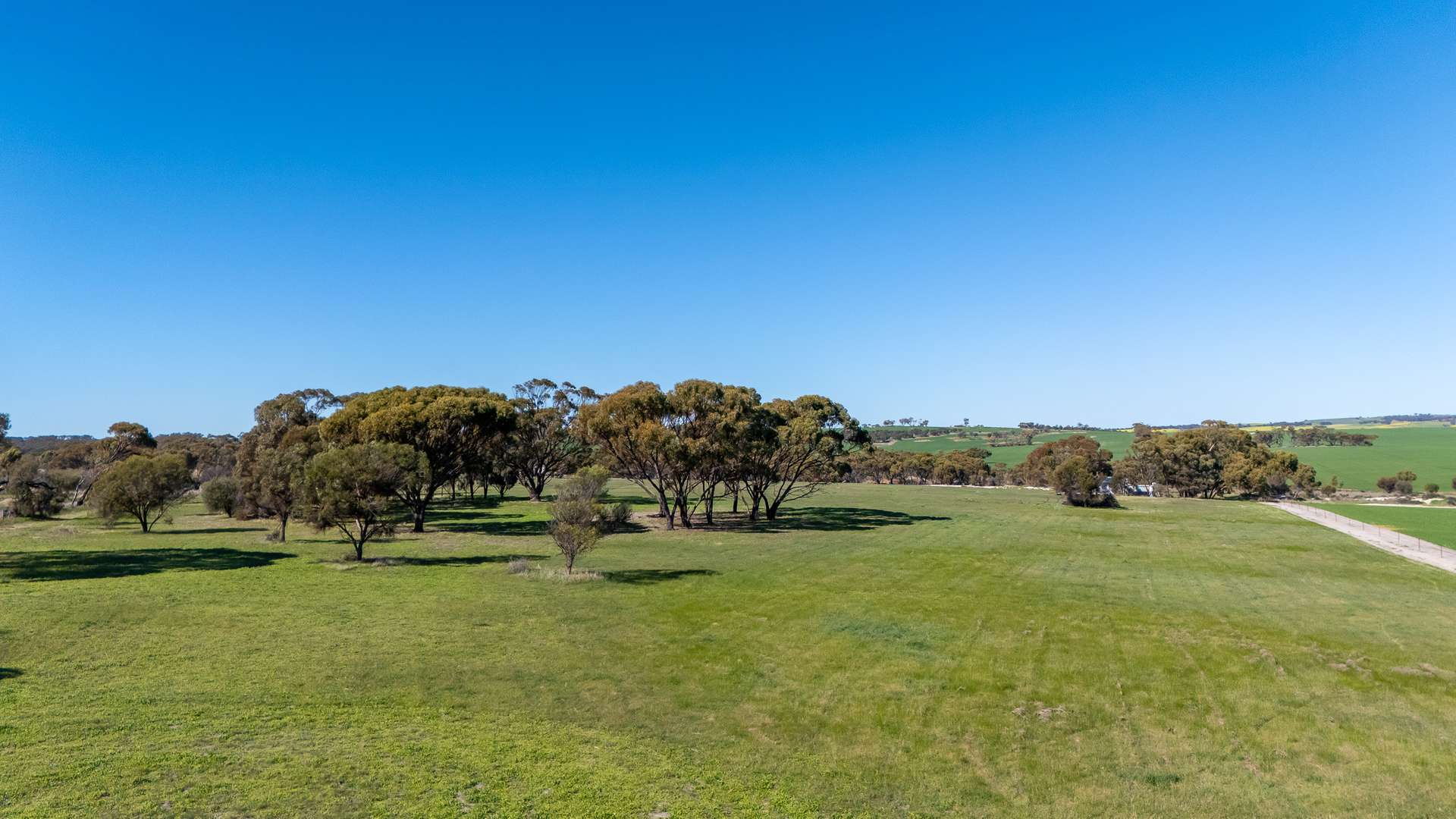 166 Bejoording Road, Bejoording For Sale by Farmbuy.com - image 15