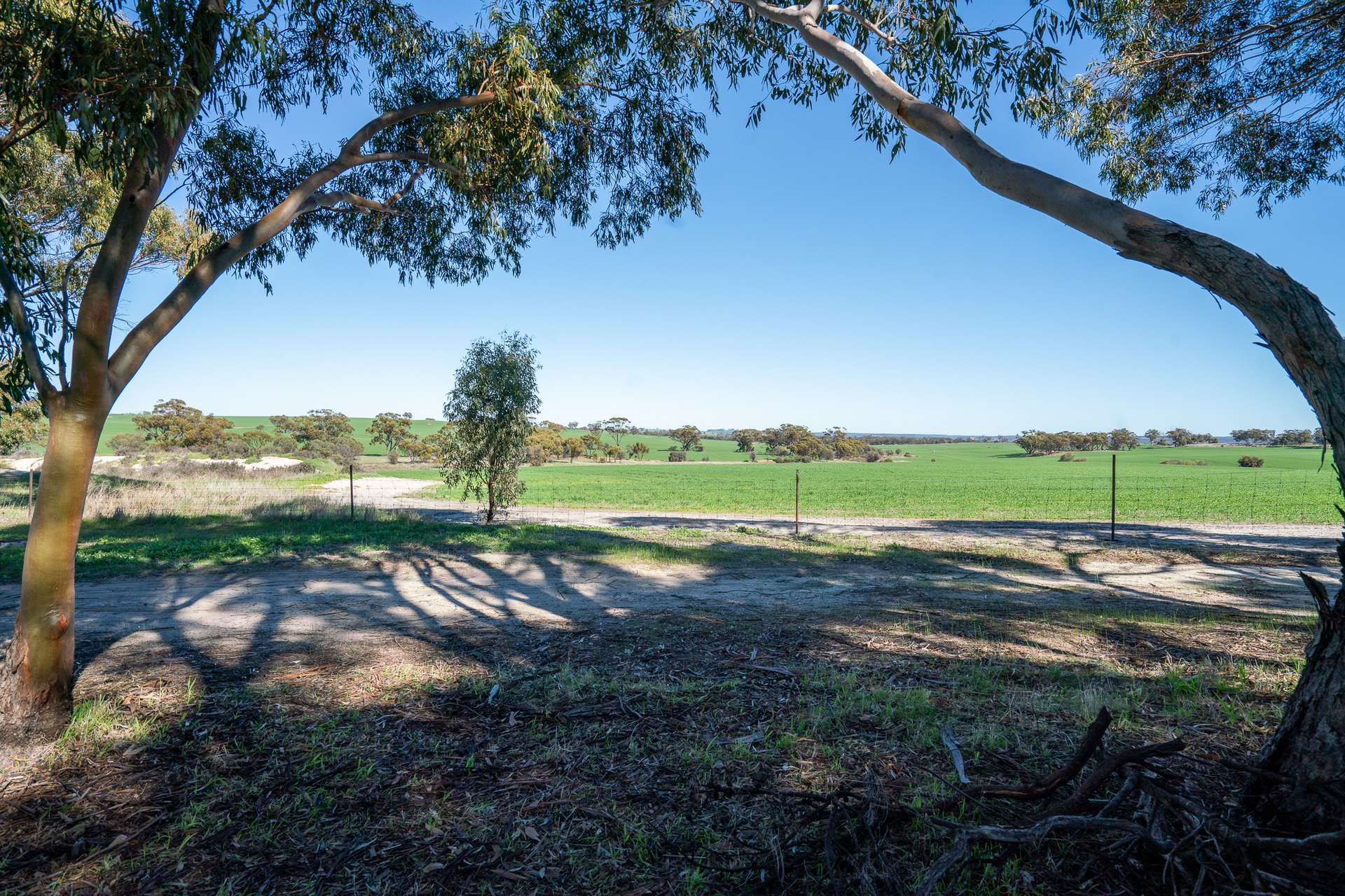 166 Bejoording Road, Bejoording For Sale by Farmbuy.com - image 9