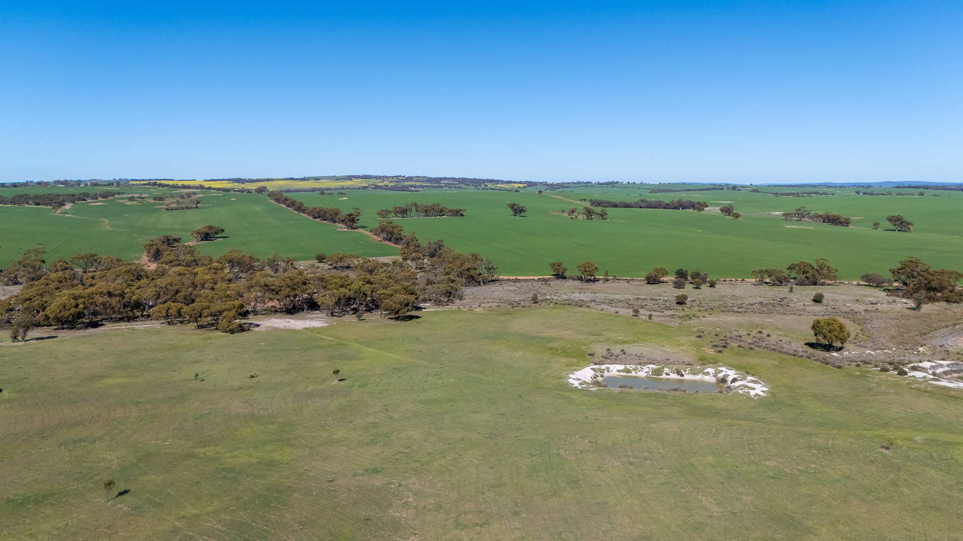 166 Bejoording Road, Bejoording For Sale by Farmbuy.com - image 3