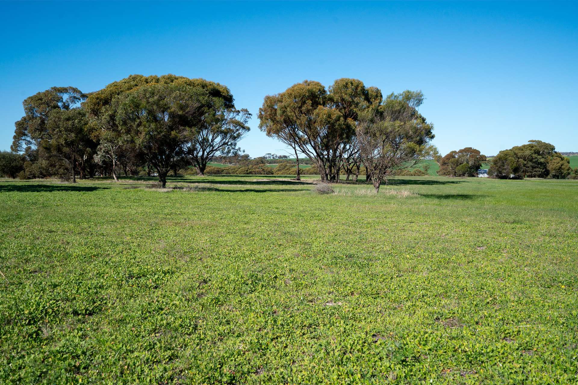 166 Bejoording Road, Bejoording For Sale by Farmbuy.com - image 16