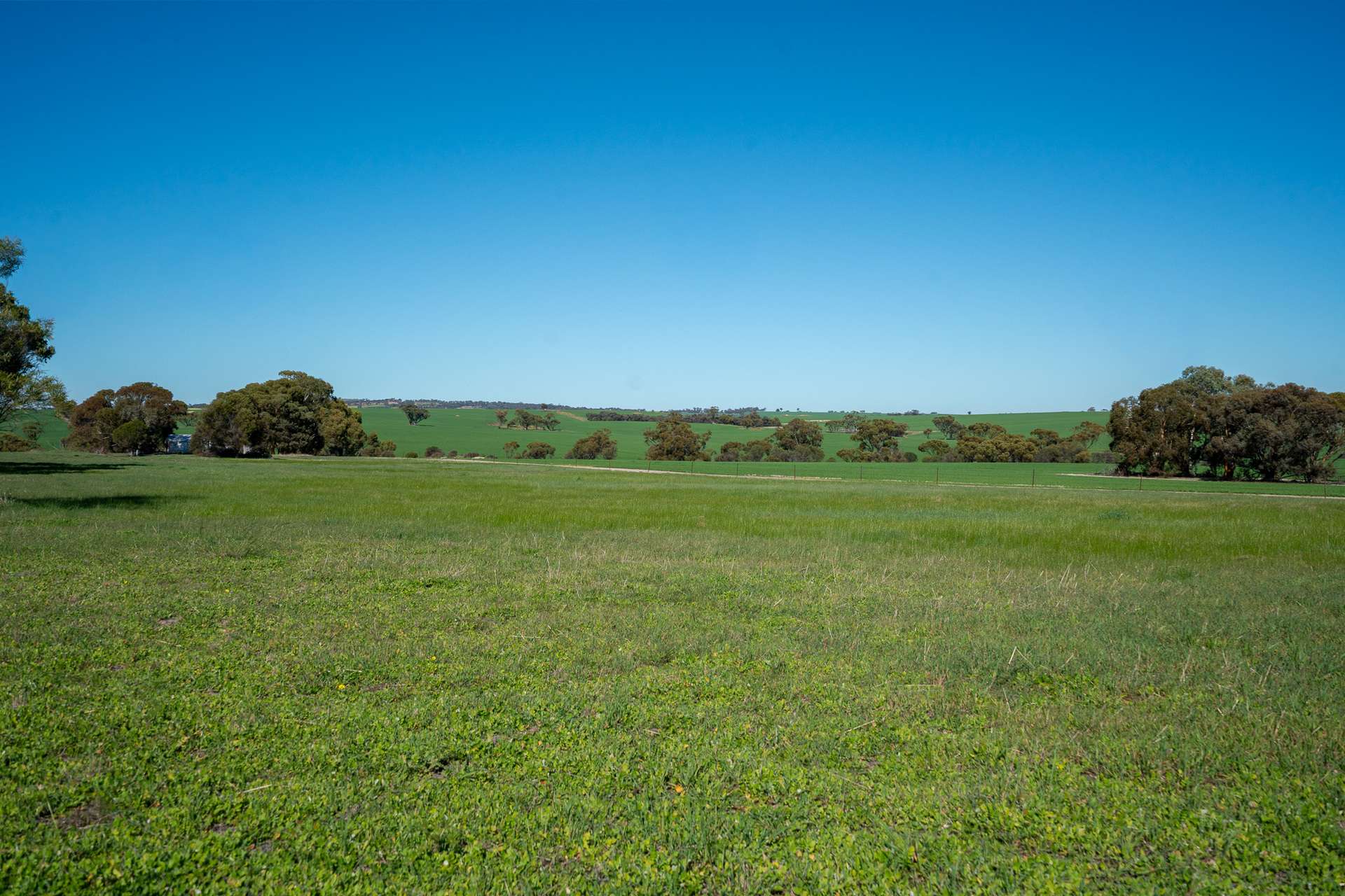 166 Bejoording Road, Bejoording For Sale by Farmbuy.com - image 14