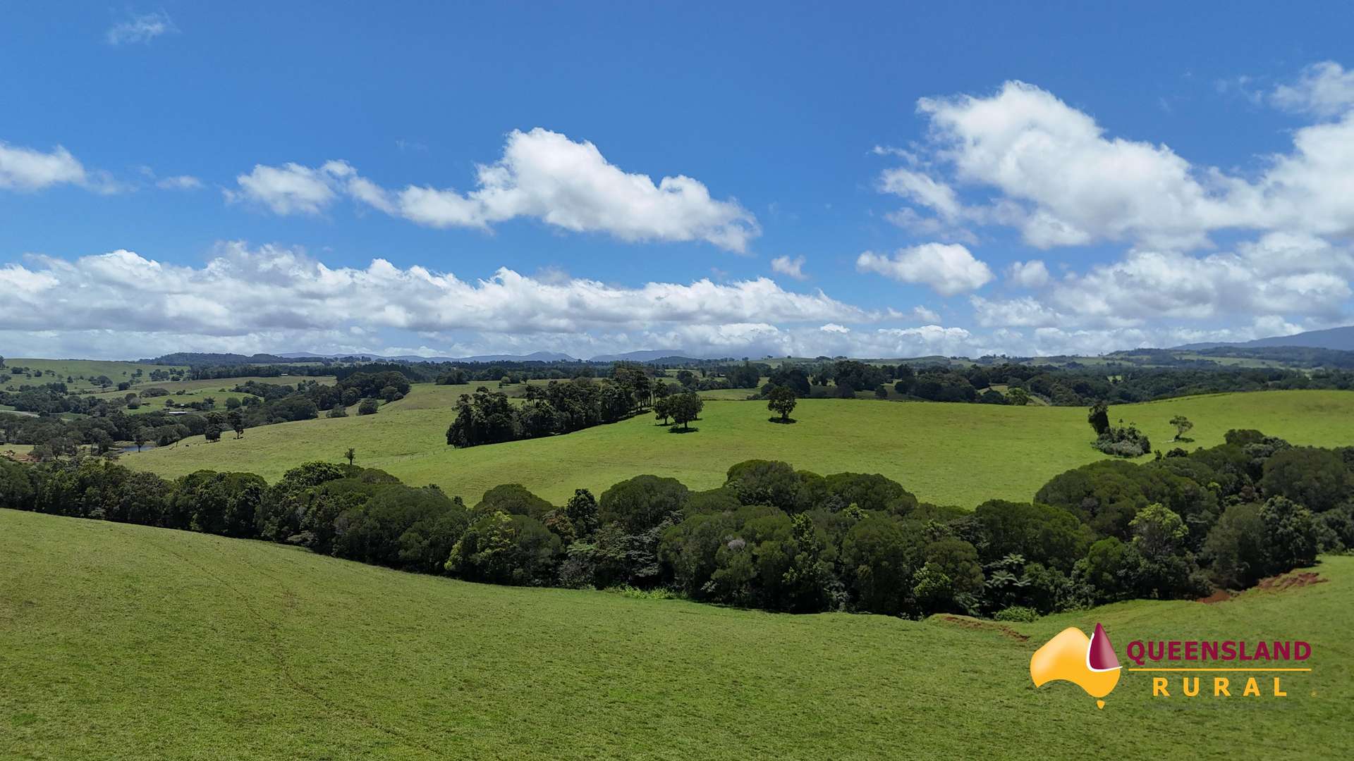 Malanda For Sale by Farmbuy.com - image 1