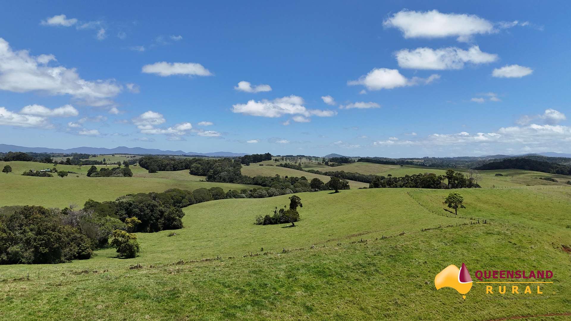 Malanda For Sale by Farmbuy.com - image 10