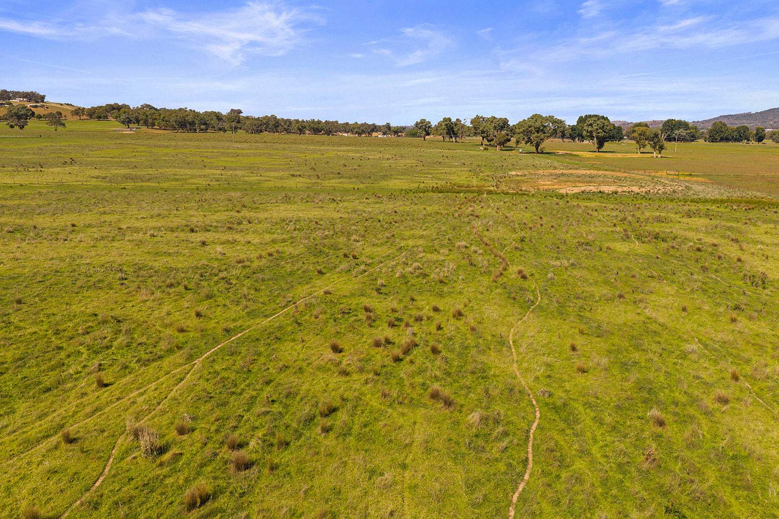 10-12 Florance Street, Cootamundra For Sale by Farmbuy.com - image 9