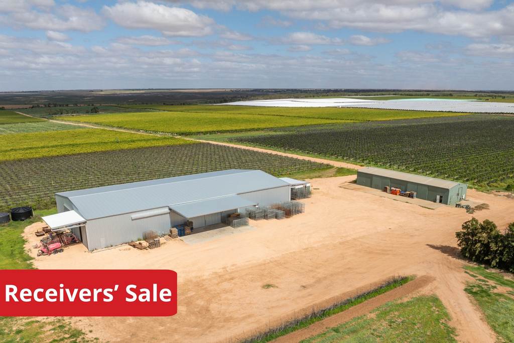 190 Delite Way, Red Cliffs VIC 3496