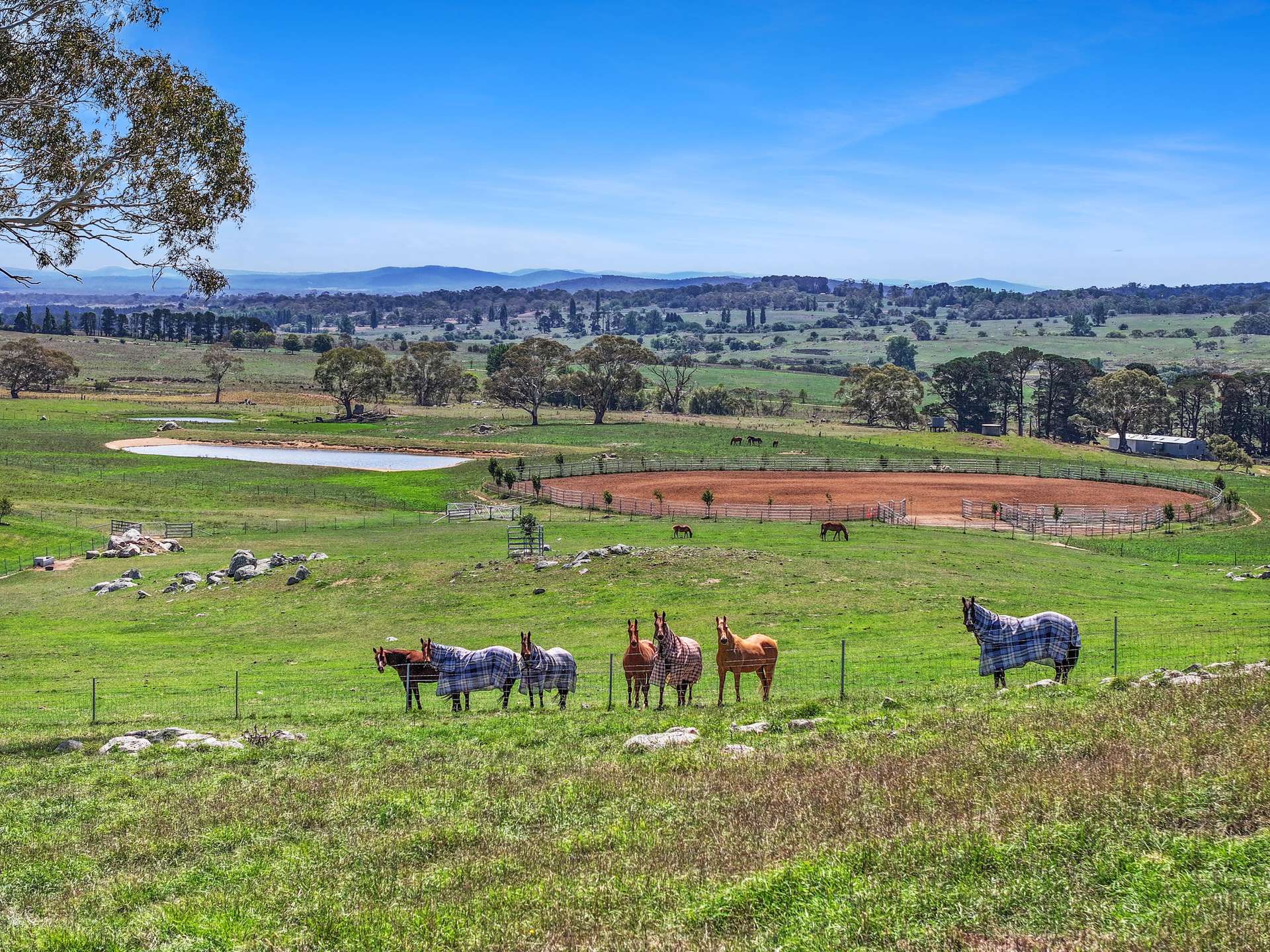 67 Tates Lane, Braidwood For Sale by Farmbuy.com - image 22