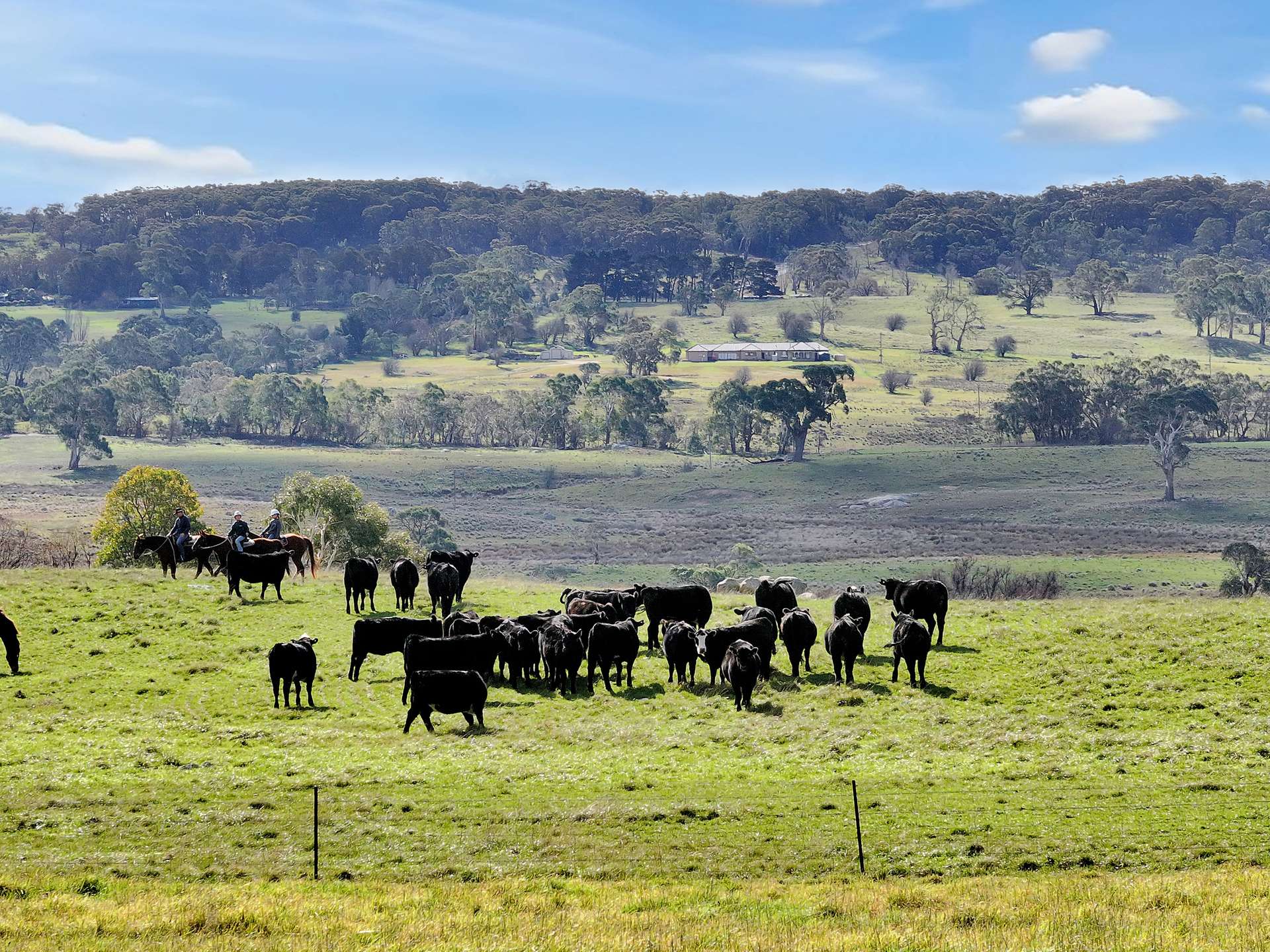 67 Tates Lane, Braidwood For Sale by Farmbuy.com - image 23