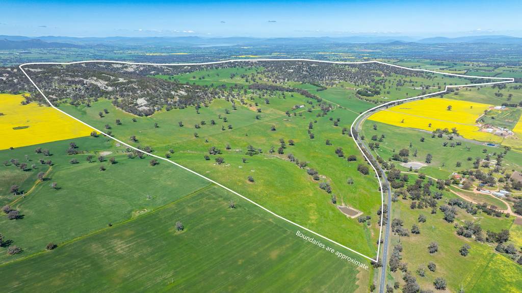 833 Walla Walla Jindera Road, Walla Walla NSW 2659