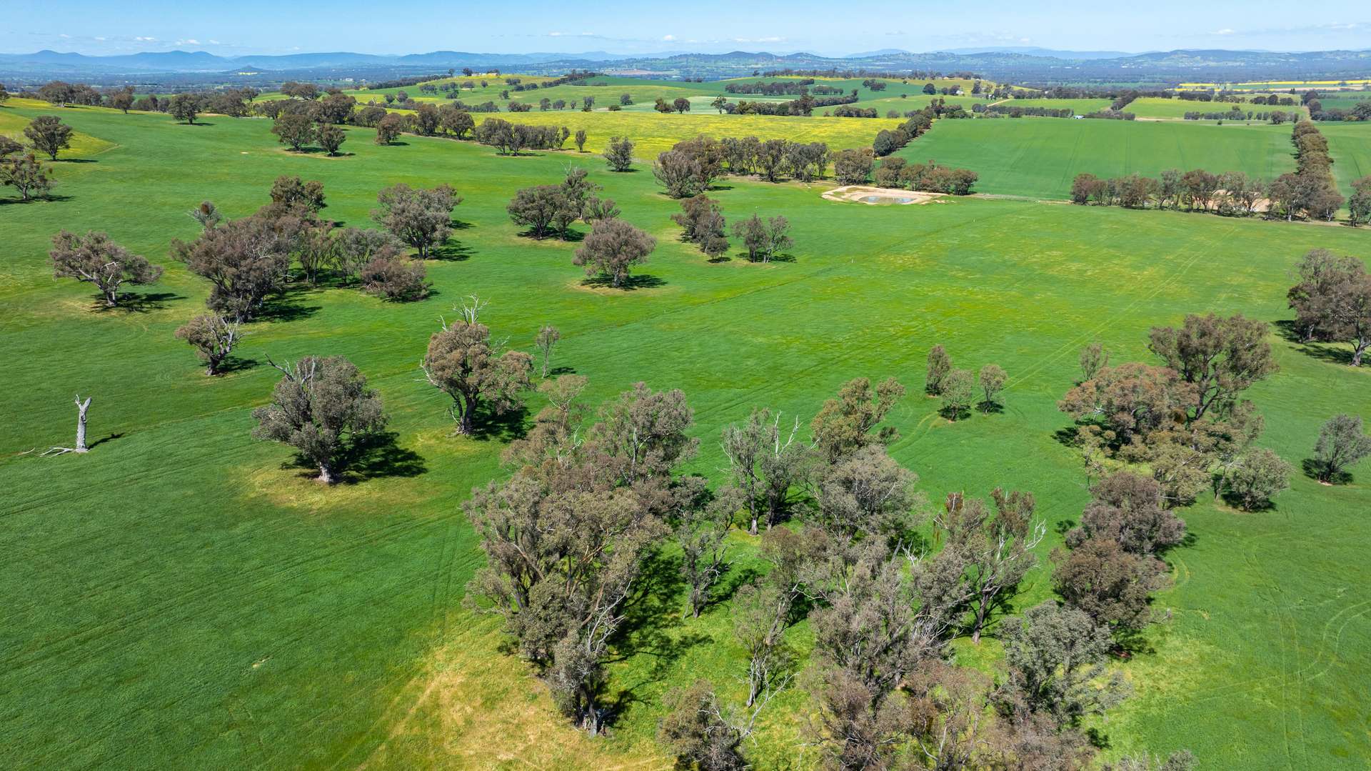 833 Walla Walla Jindera Road, Walla Walla For Sale by Farmbuy.com - image 26