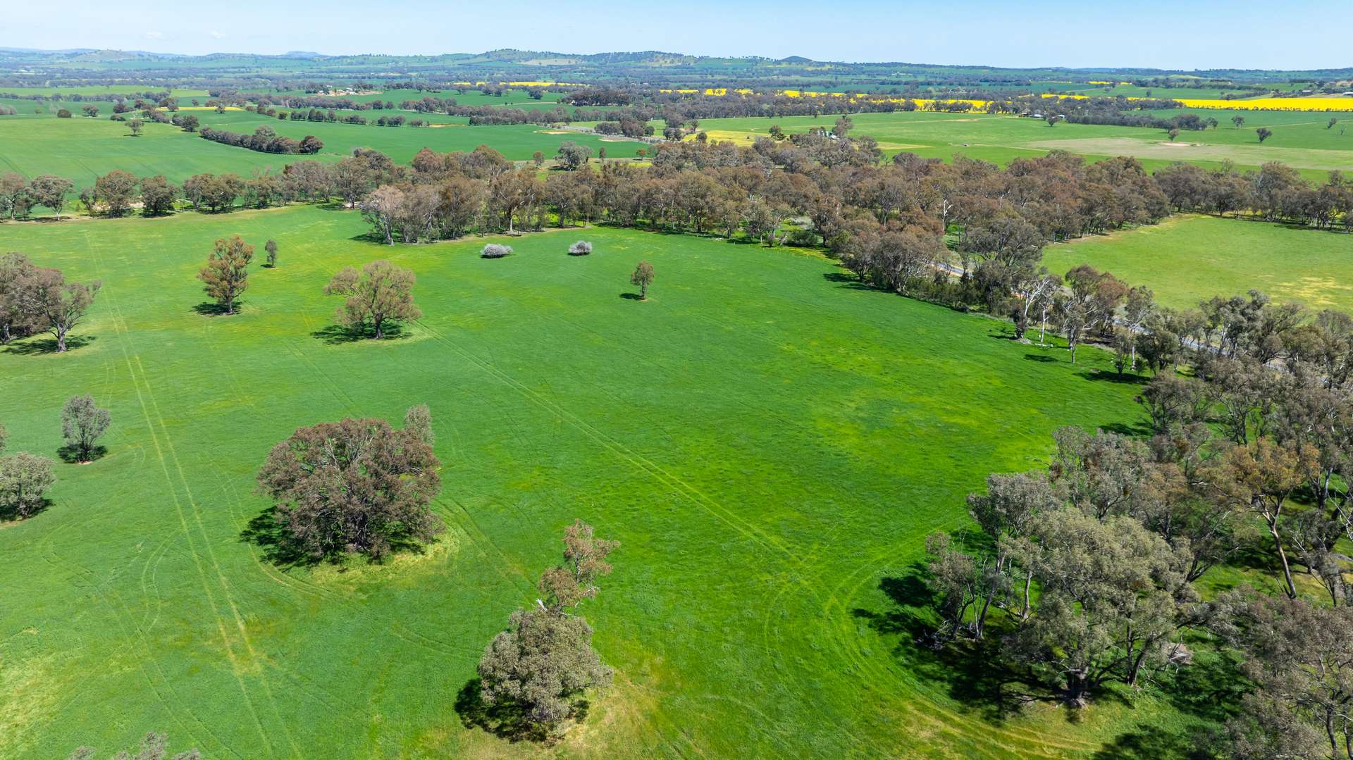 833 Walla Walla Jindera Road, Walla Walla For Sale by Farmbuy.com - image 21