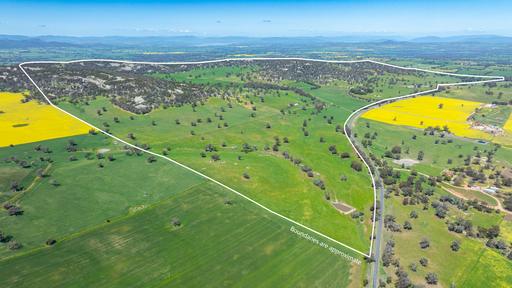 833 Walla Walla Jindera Road, Walla Walla NSW 2659