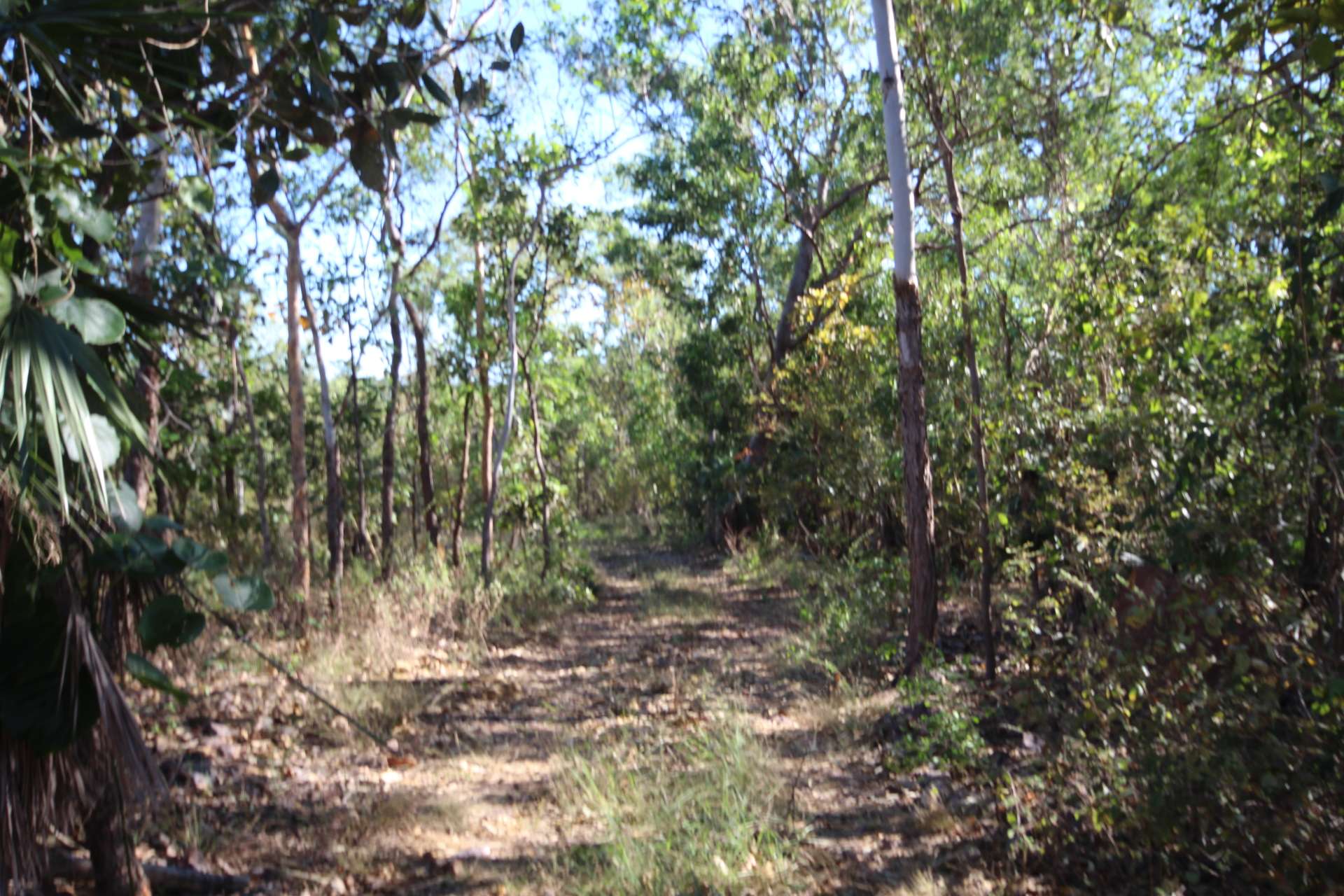630 Miles Road, Eva Valley For Sale by Farmbuy.com - image 26