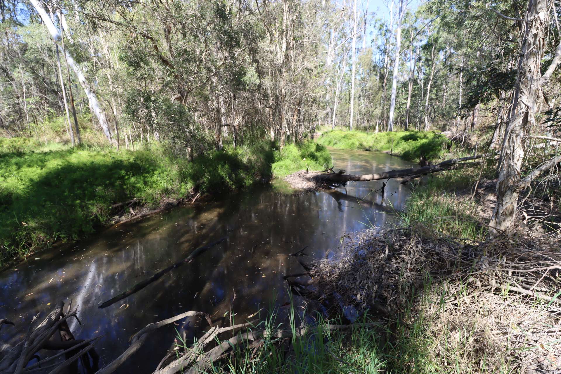 832 North South Road, Eureka For Sale by Farmbuy.com - image 20