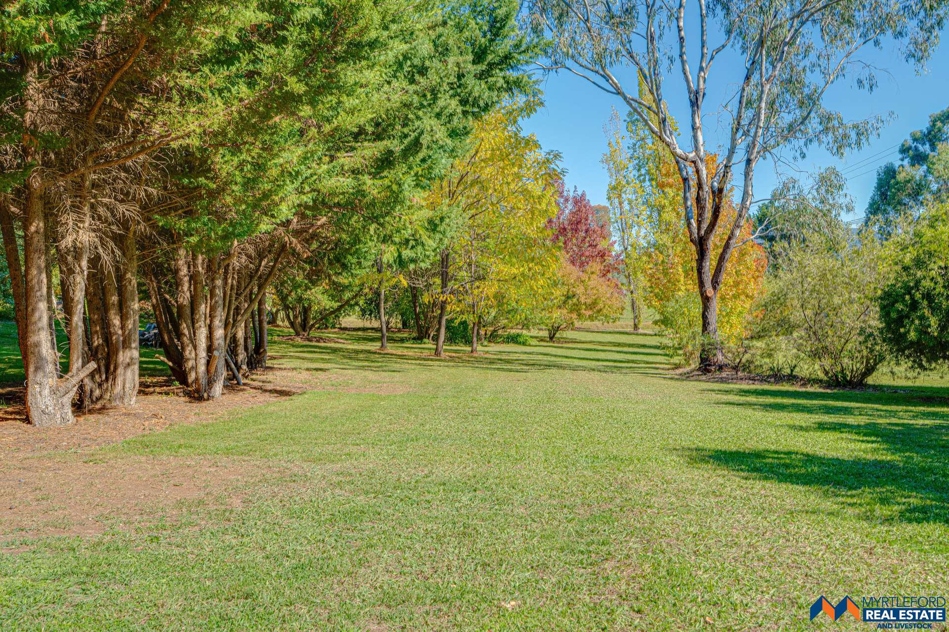 7 Panorama Drive, Myrtleford For Sale by Farmbuy.com - image 29