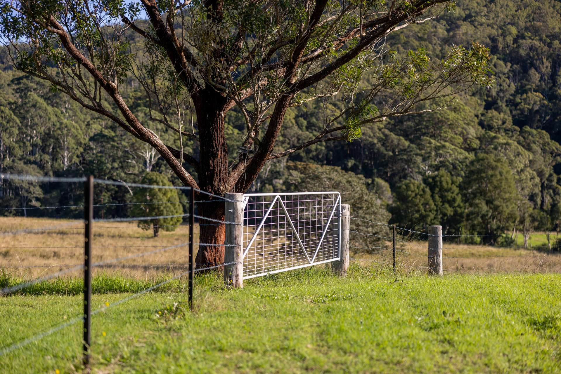 10 Holey Flat Lane, Moorland Auction by Farmbuy.com - image 18