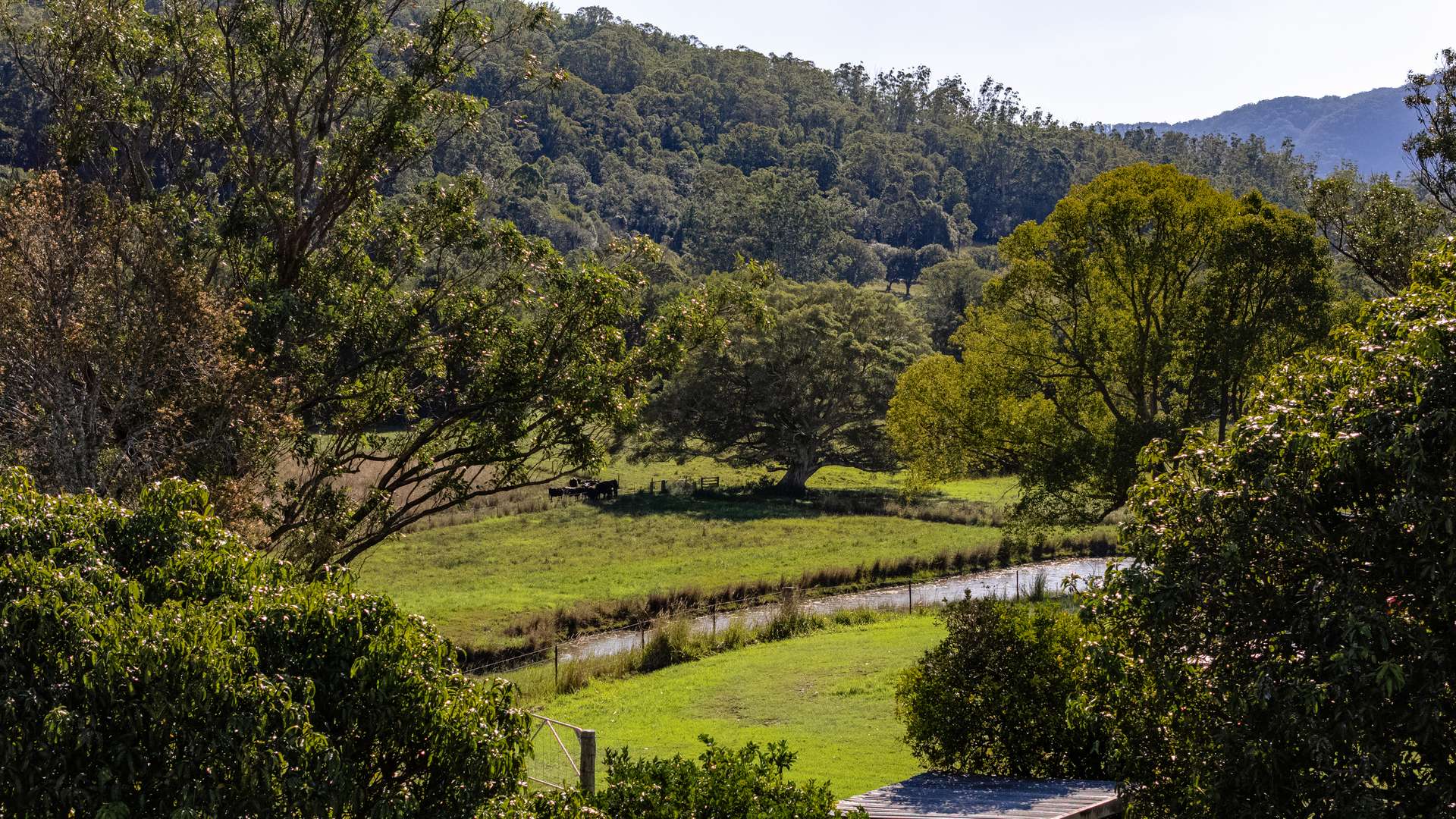 10 Holey Flat Lane, Moorland Auction by Farmbuy.com - image 23